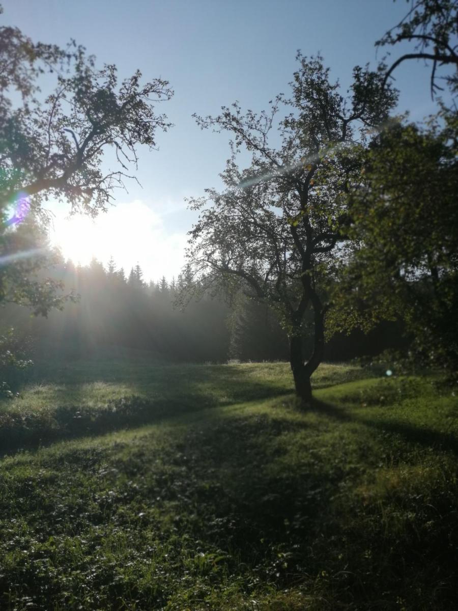 Bühlhäusl