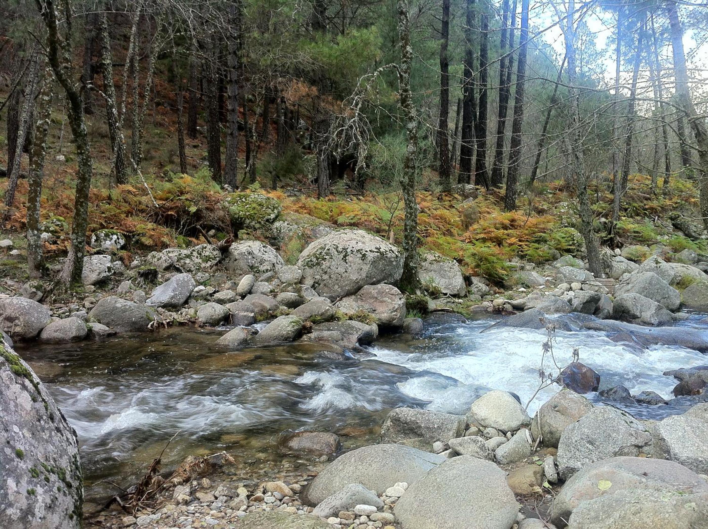 Apartamento Abuela Benita