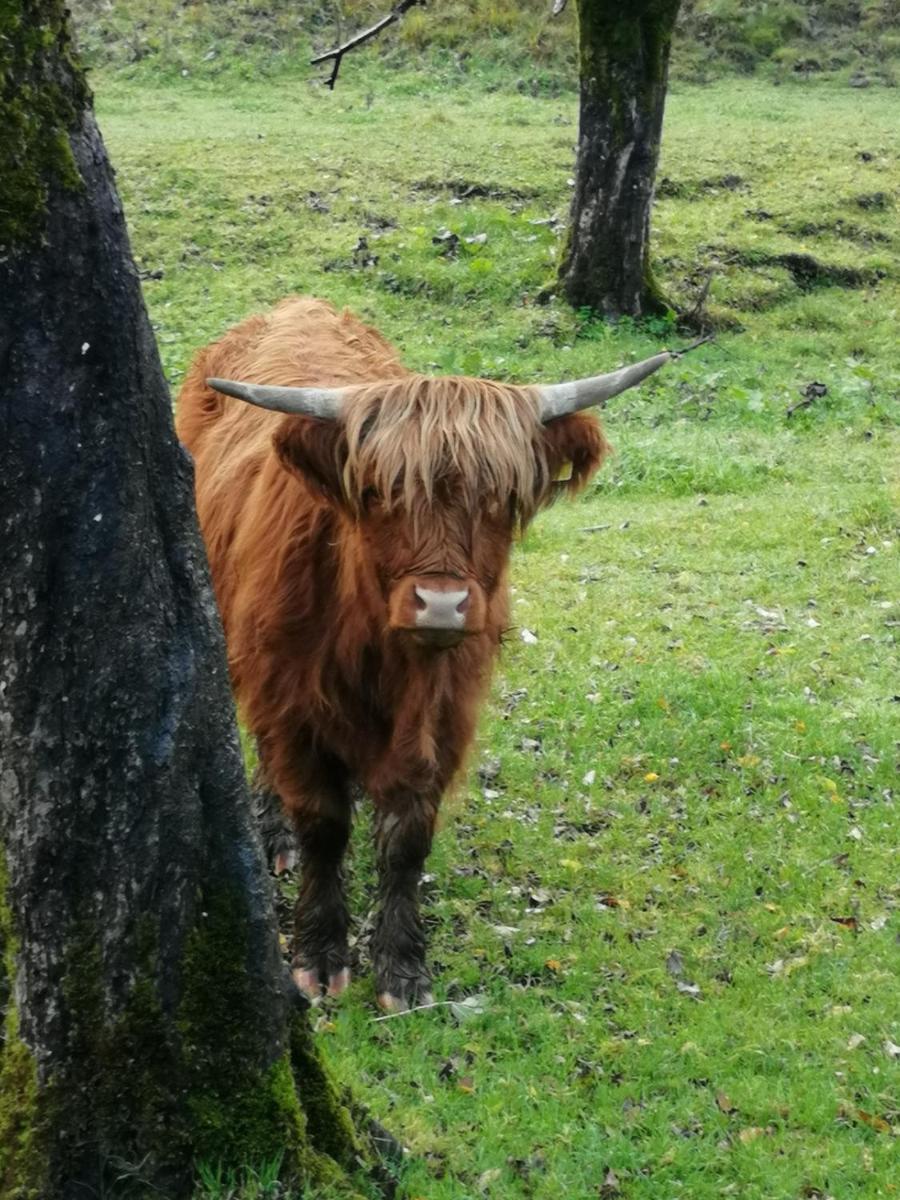 Bühlhäusl