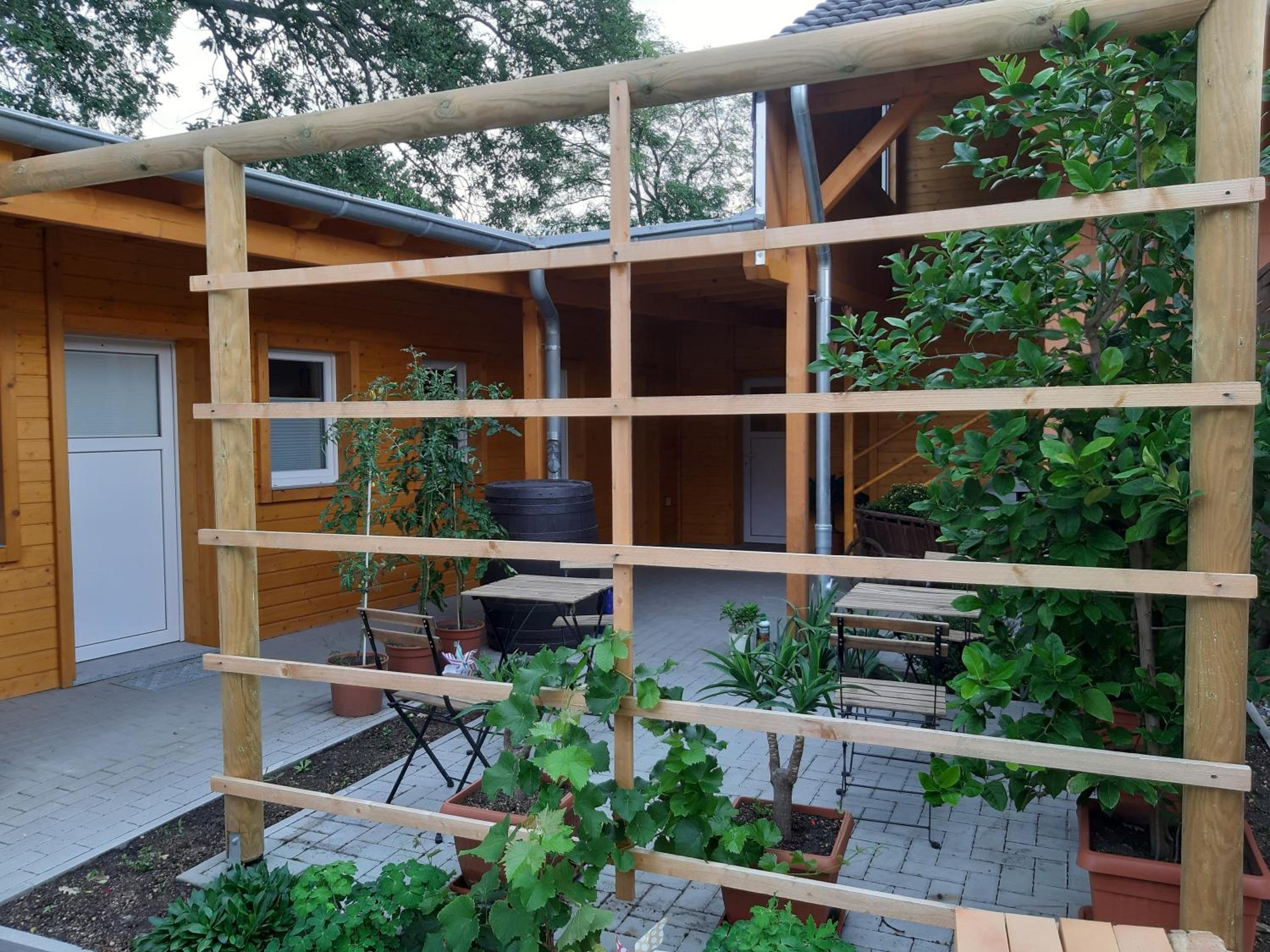 Photo 17