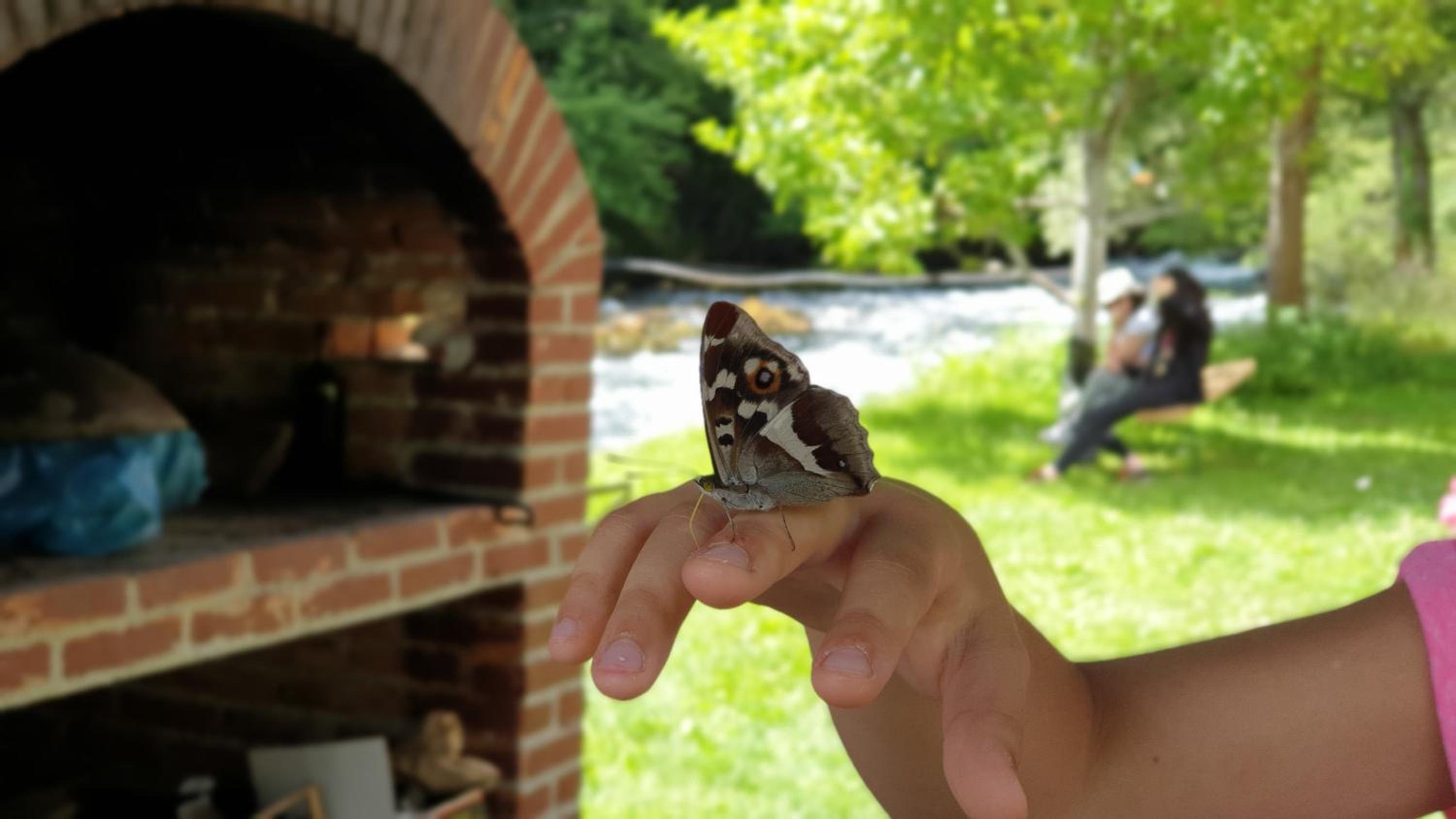 Domacinstvo na kraju svijeta