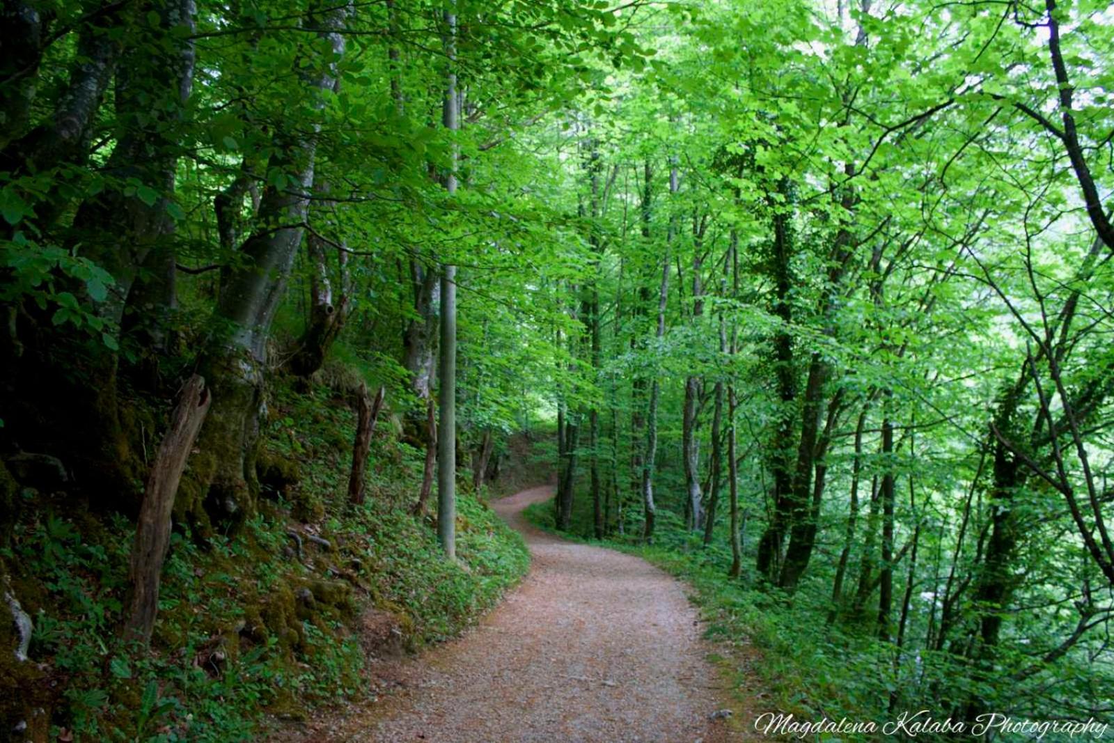 Domacinstvo na kraju svijeta