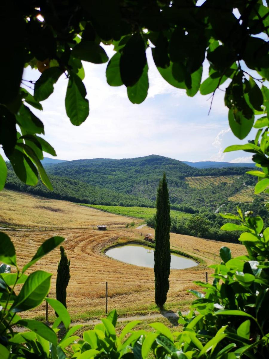 Agriturismo Selvella view 2