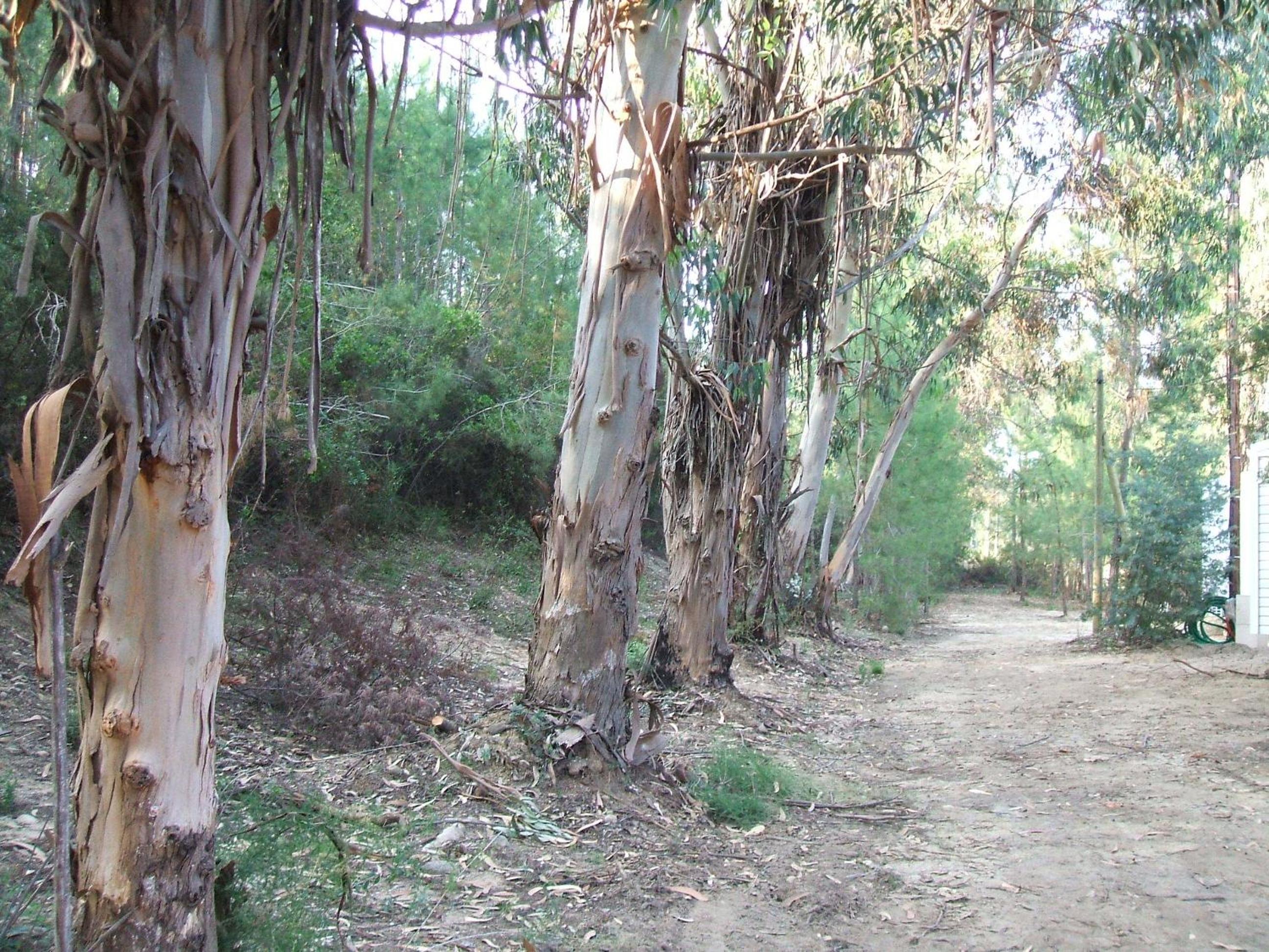 Photo 24
