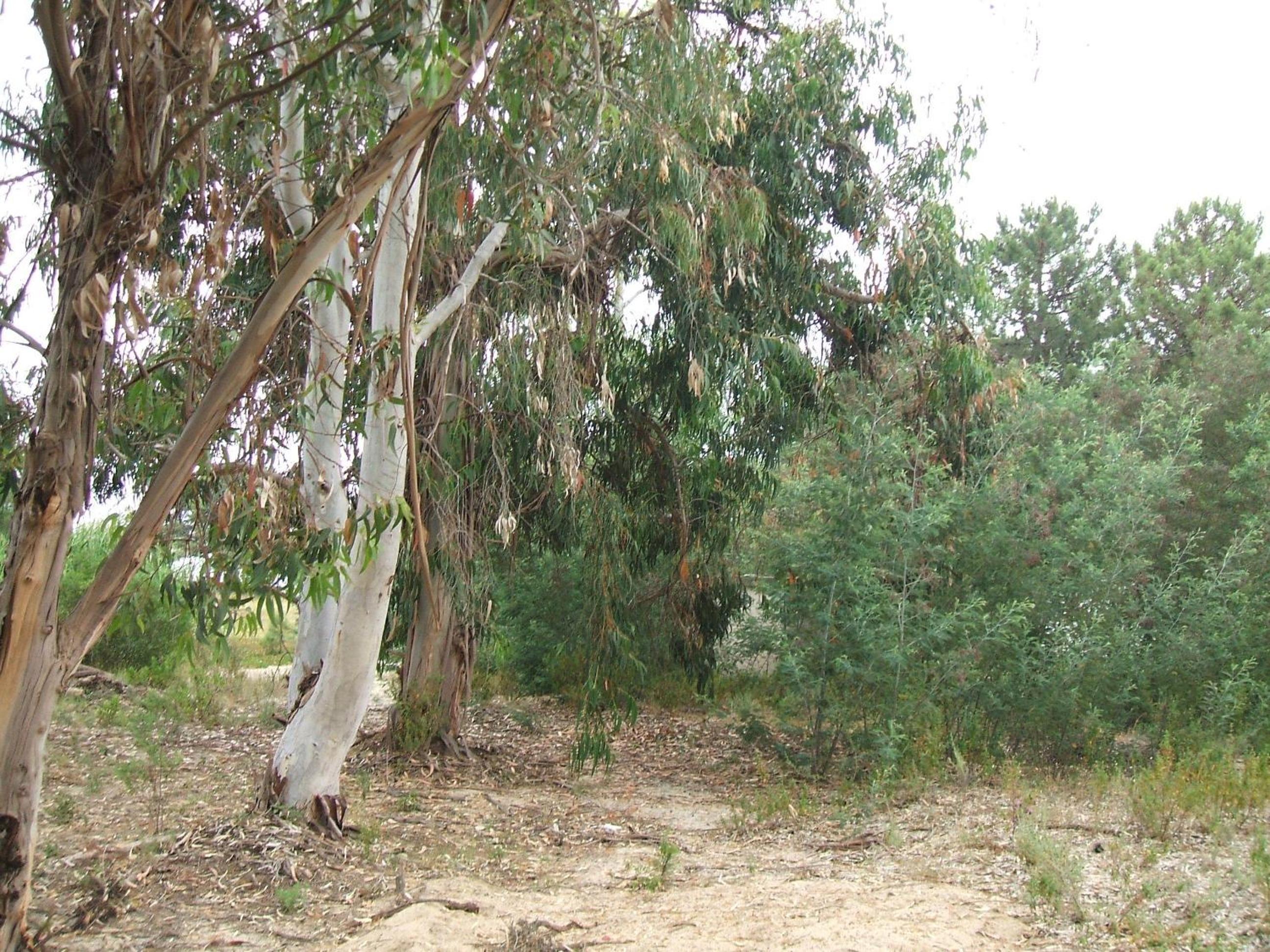 Photo 22