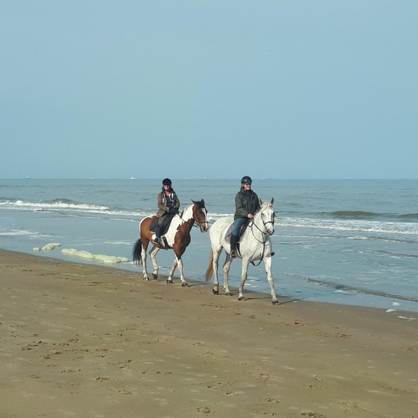 Photo 47