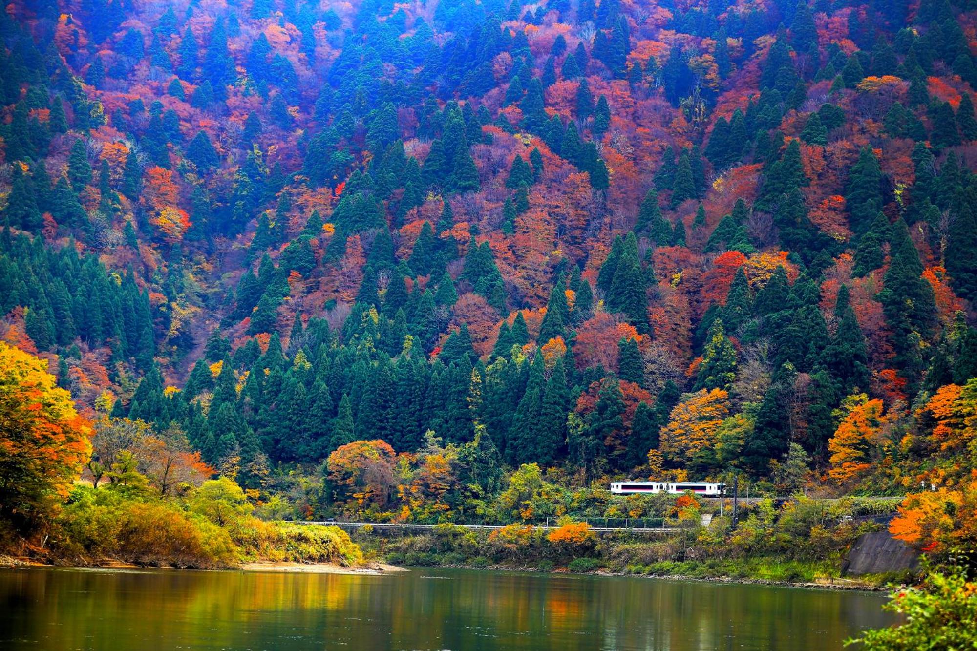 Yumeminoyado Kansyokan 9