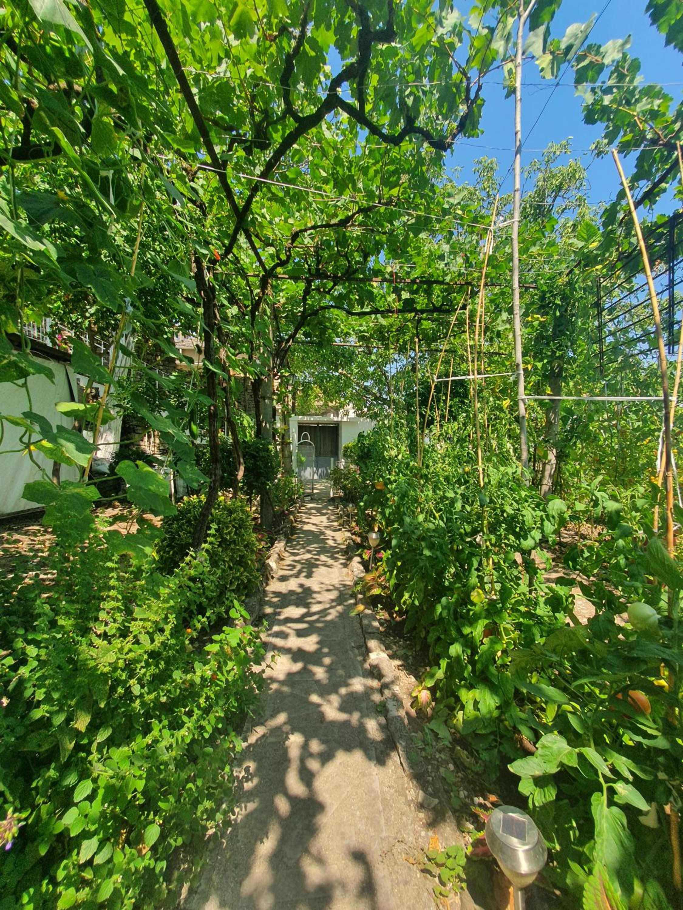 RIVA Guest House