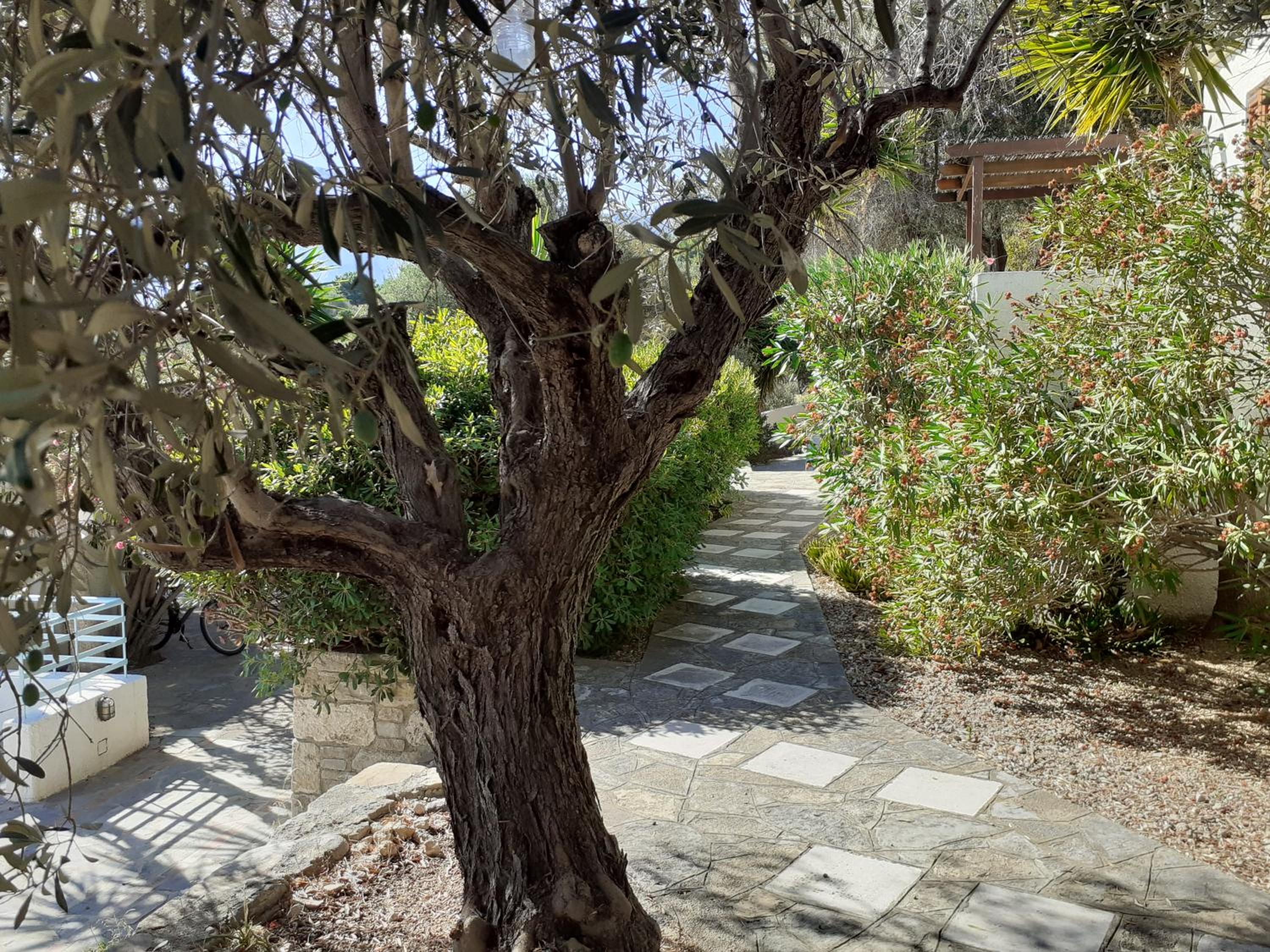 Photo 25