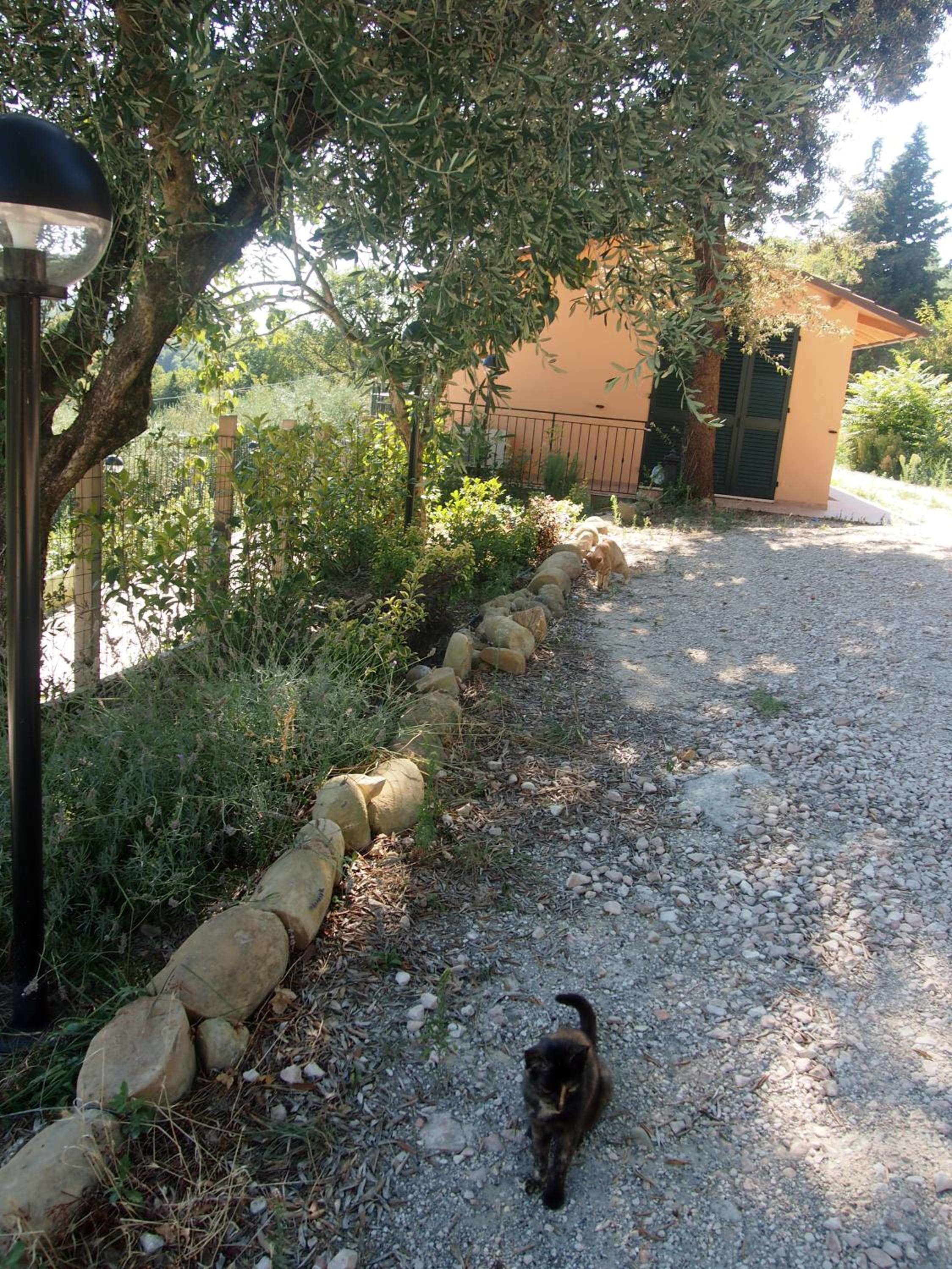 Photo 25