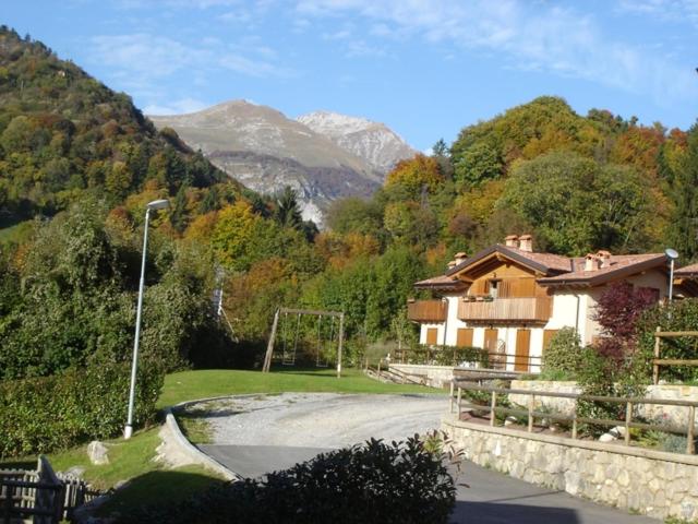 Photo 46