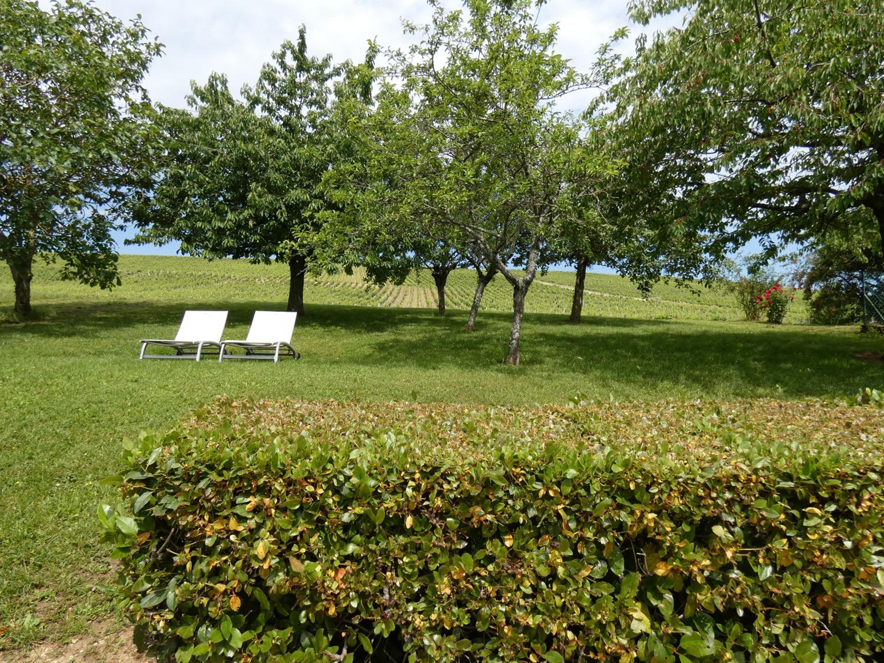 Gite Des Vignes view 2