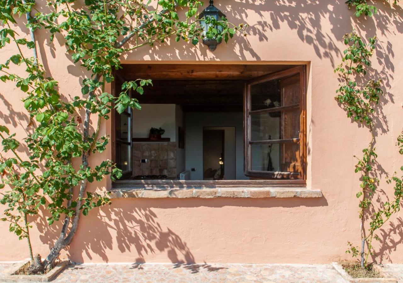 Agriturismo Il Poggio, Casa Rosa view 5