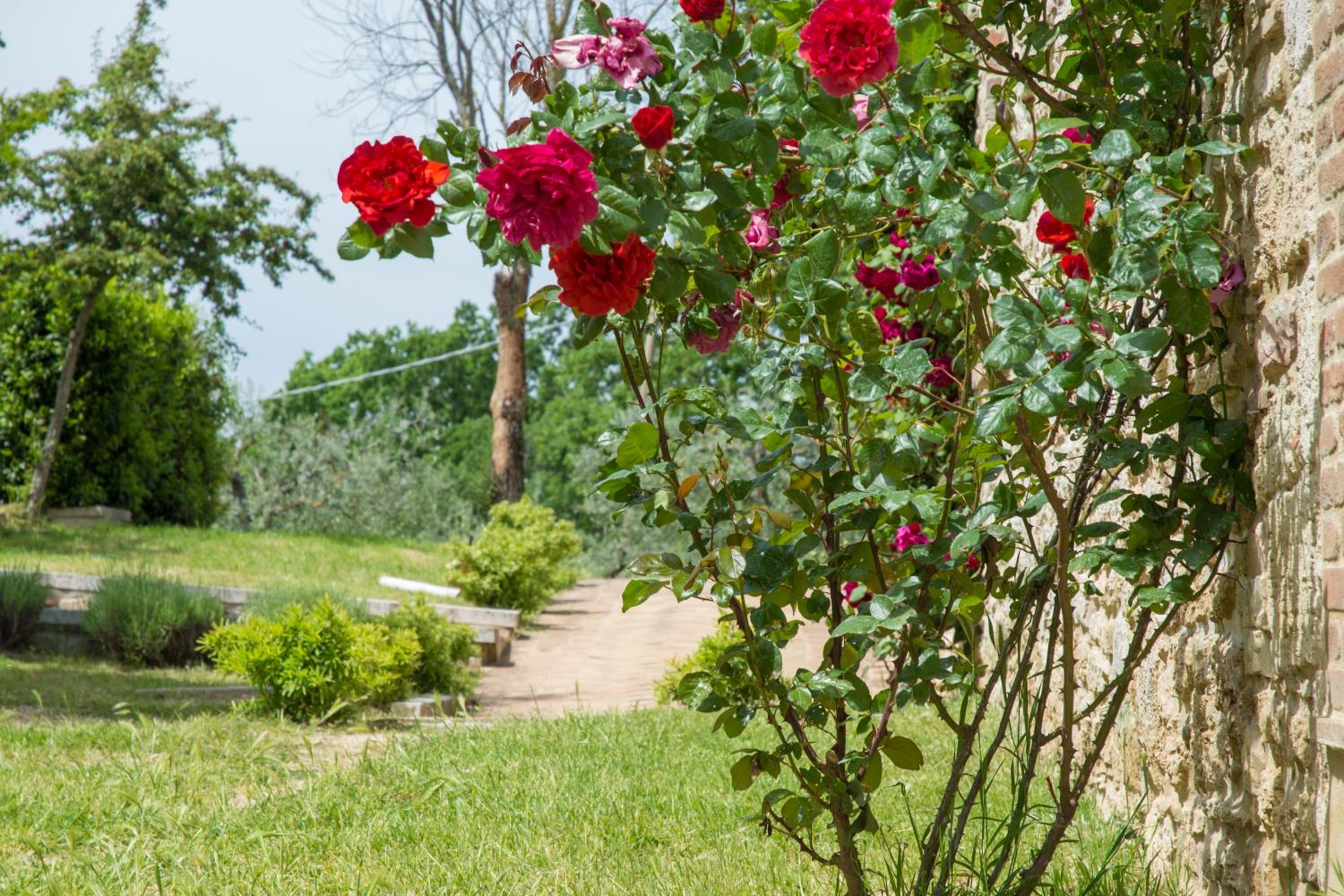Country House La Lungavita view 2
