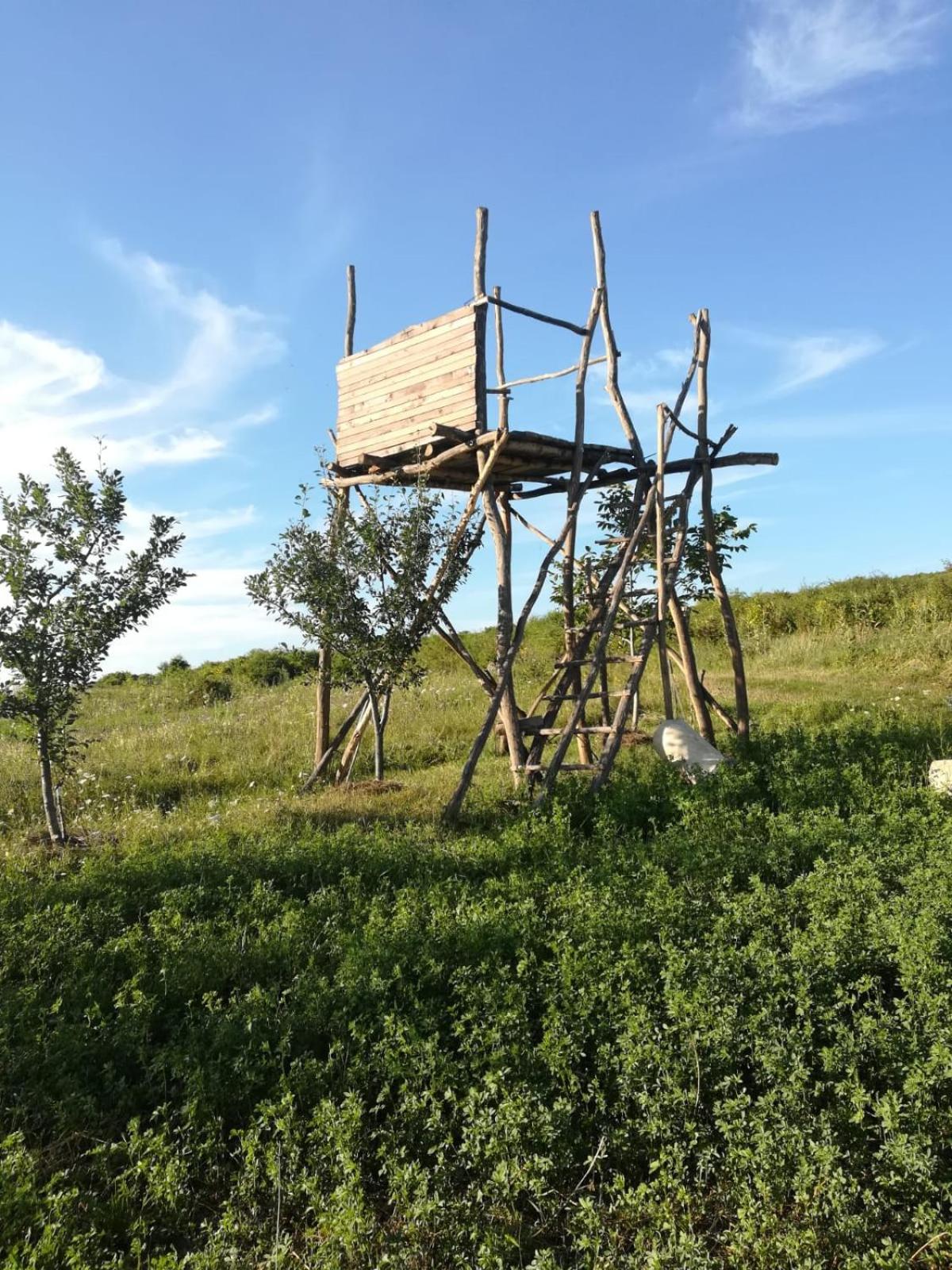 Pensiunea agroturistica Casa Sirca