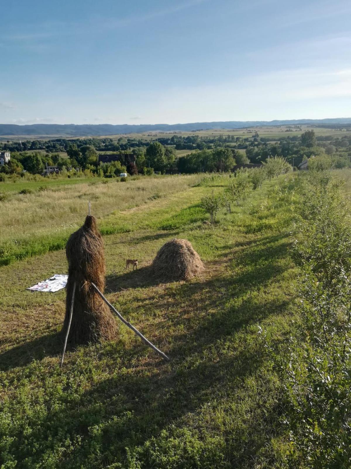 Pensiunea agroturistica Casa Sirca