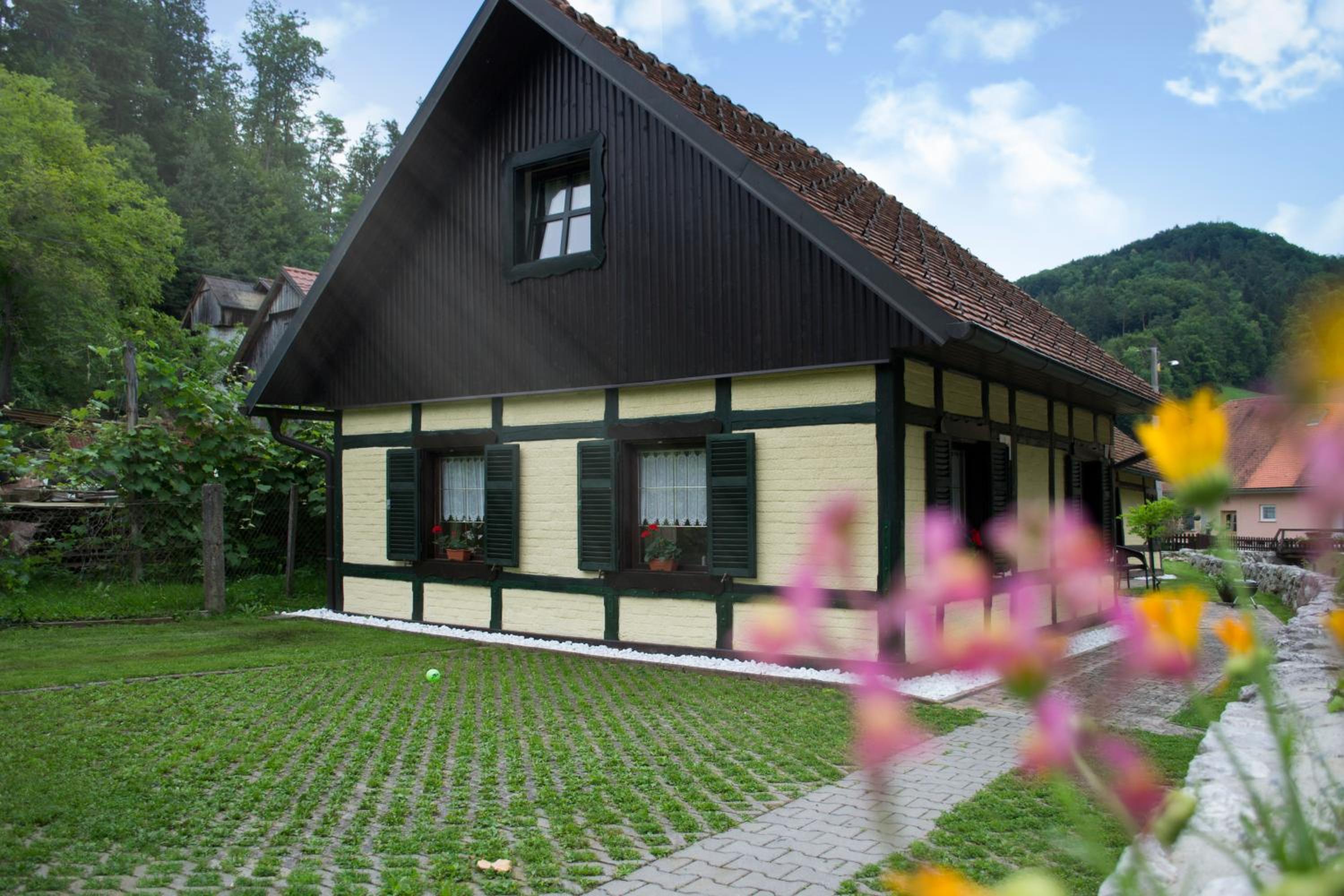 Hiška ob potoku view 2