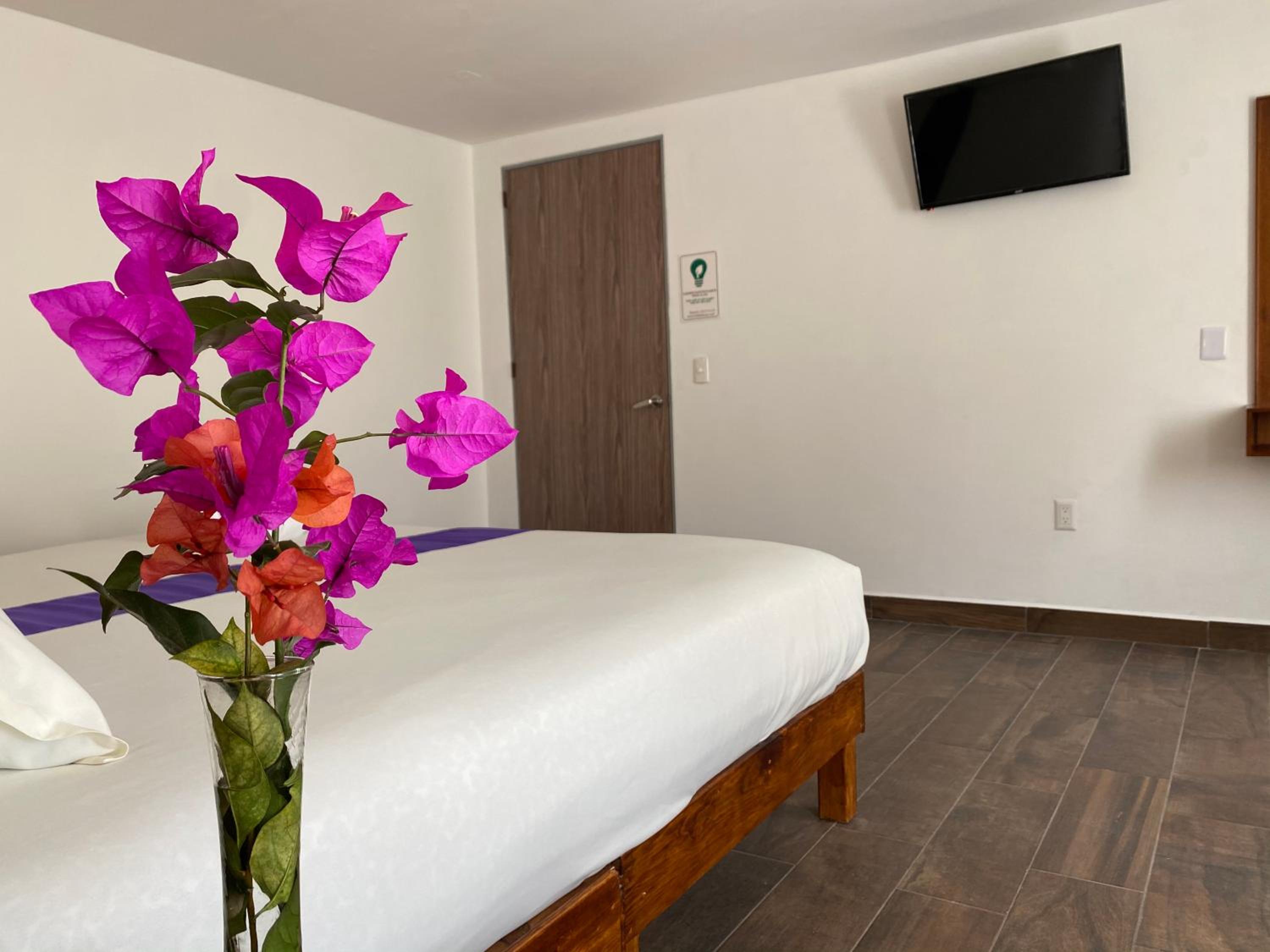 Hotel & Suites Cerro Roj0, photo 90