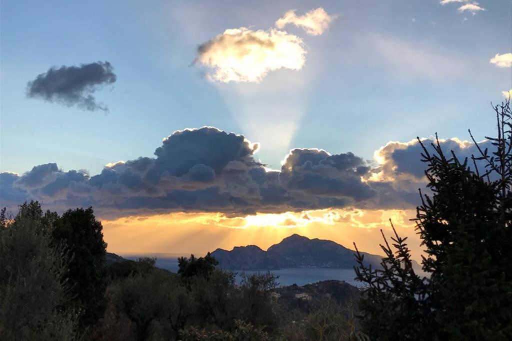 Domus Aqua Viva photo 4