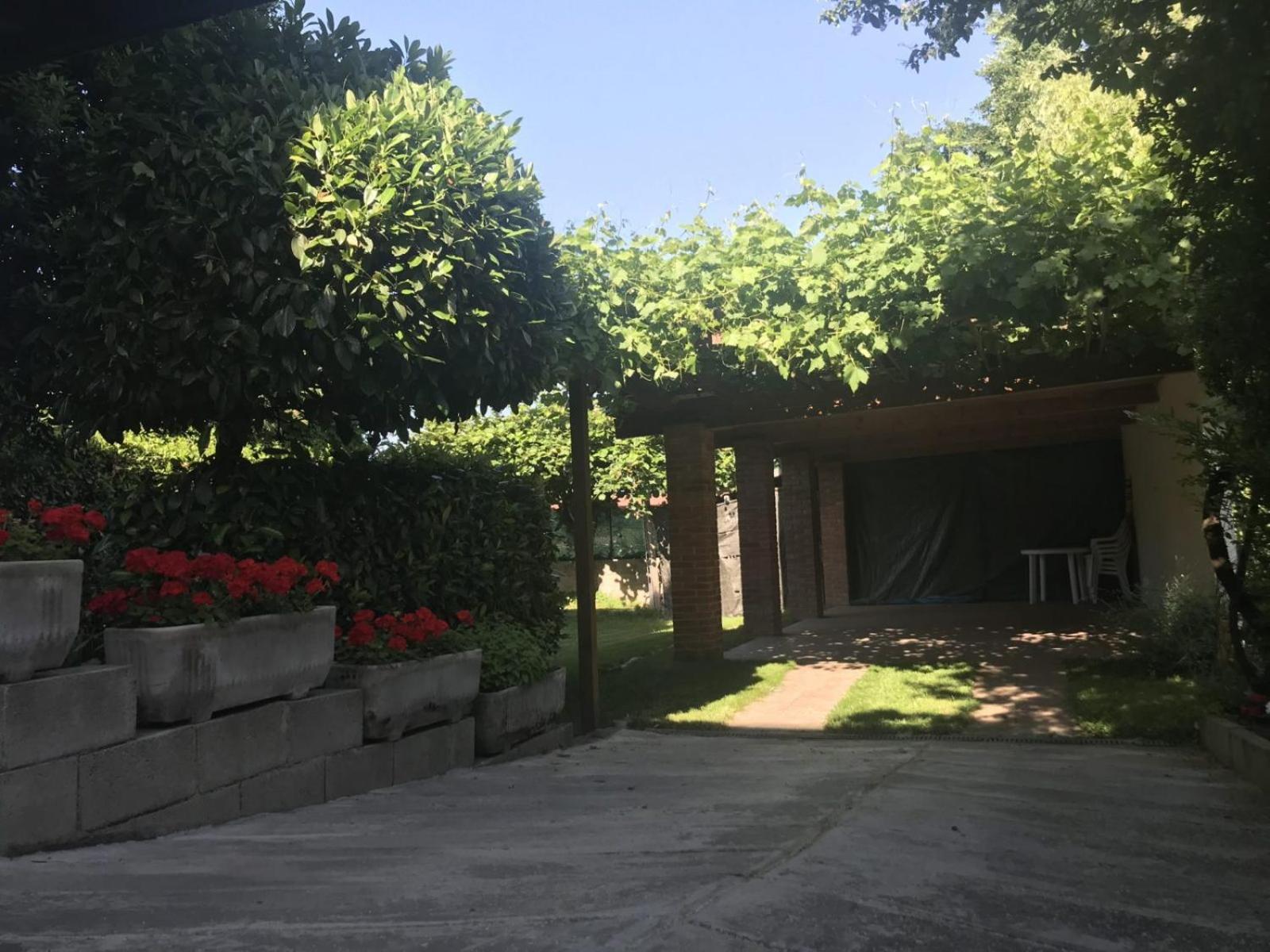 Photo 41