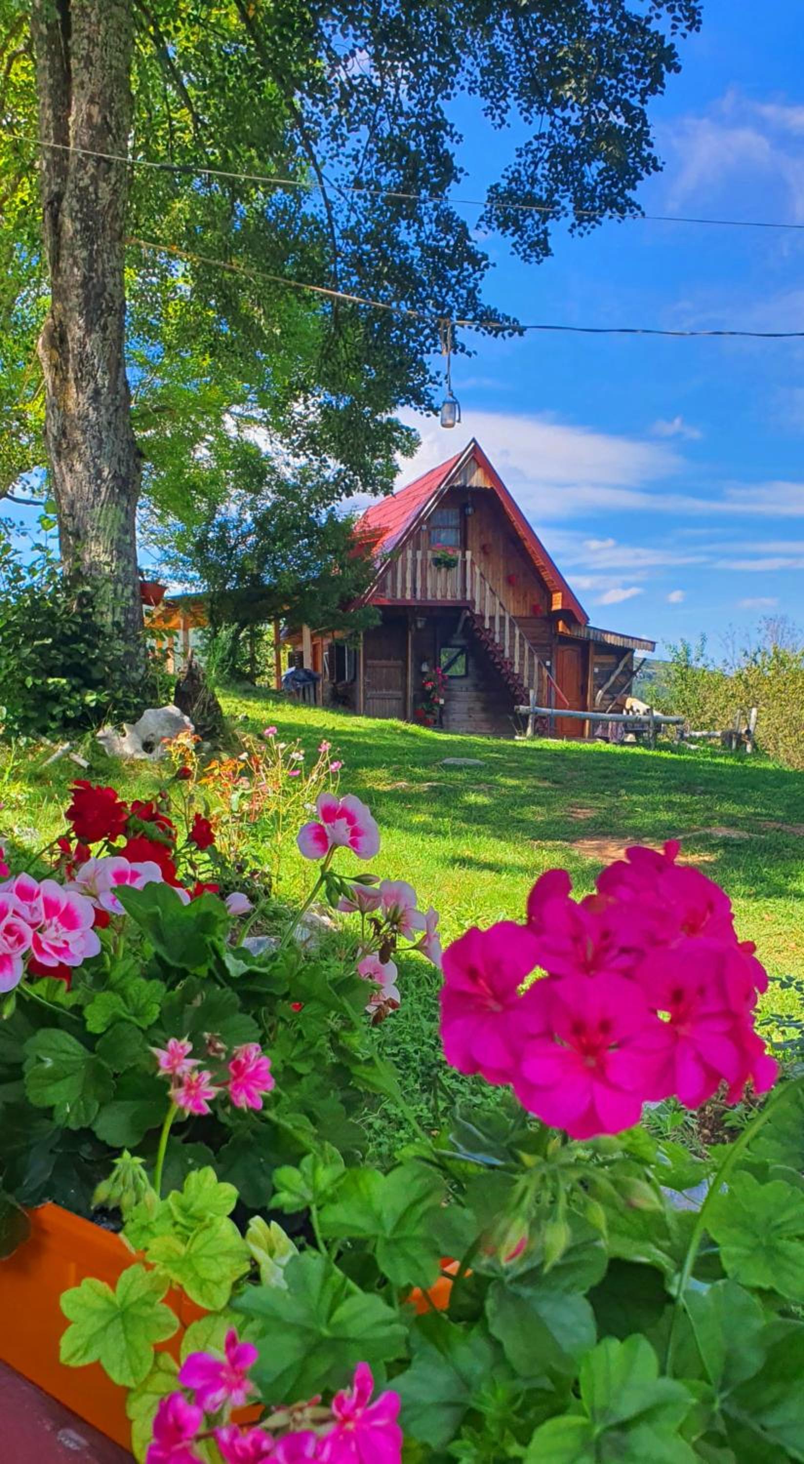 Log cabin Uvac (Vikendica Saponjic)