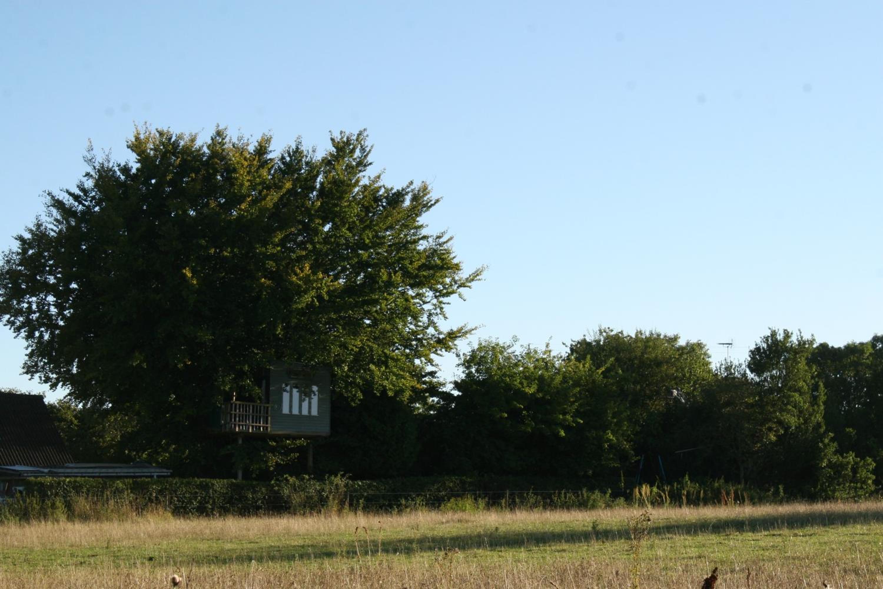 Treehouse escape
