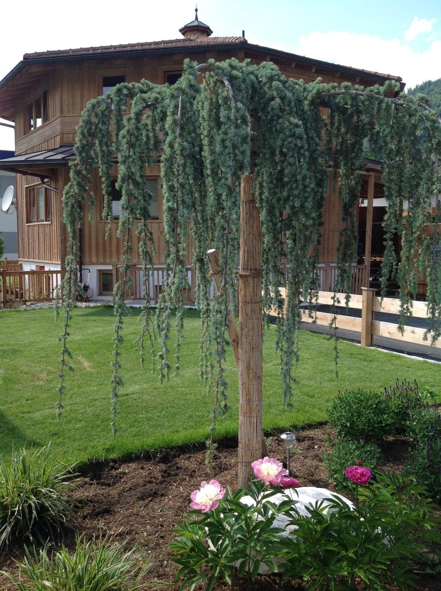 Ferienhaus Oktogon
