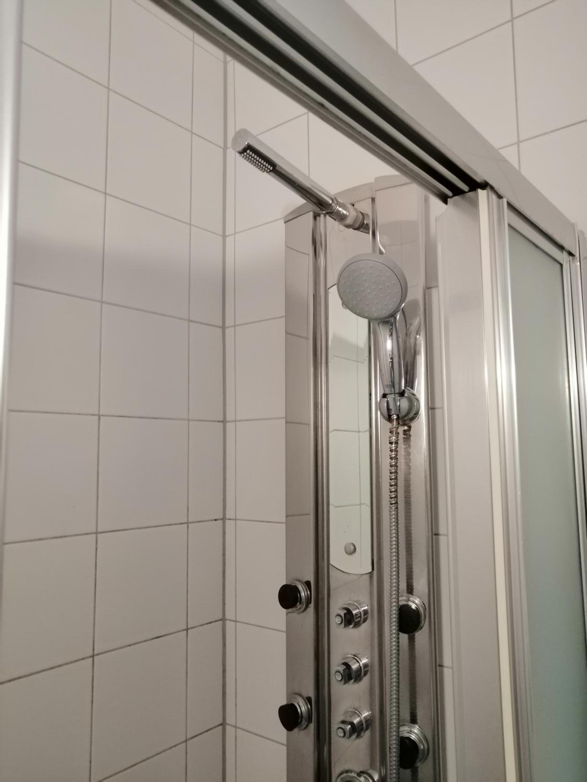 Zur sonnigen, eleganten Kuh