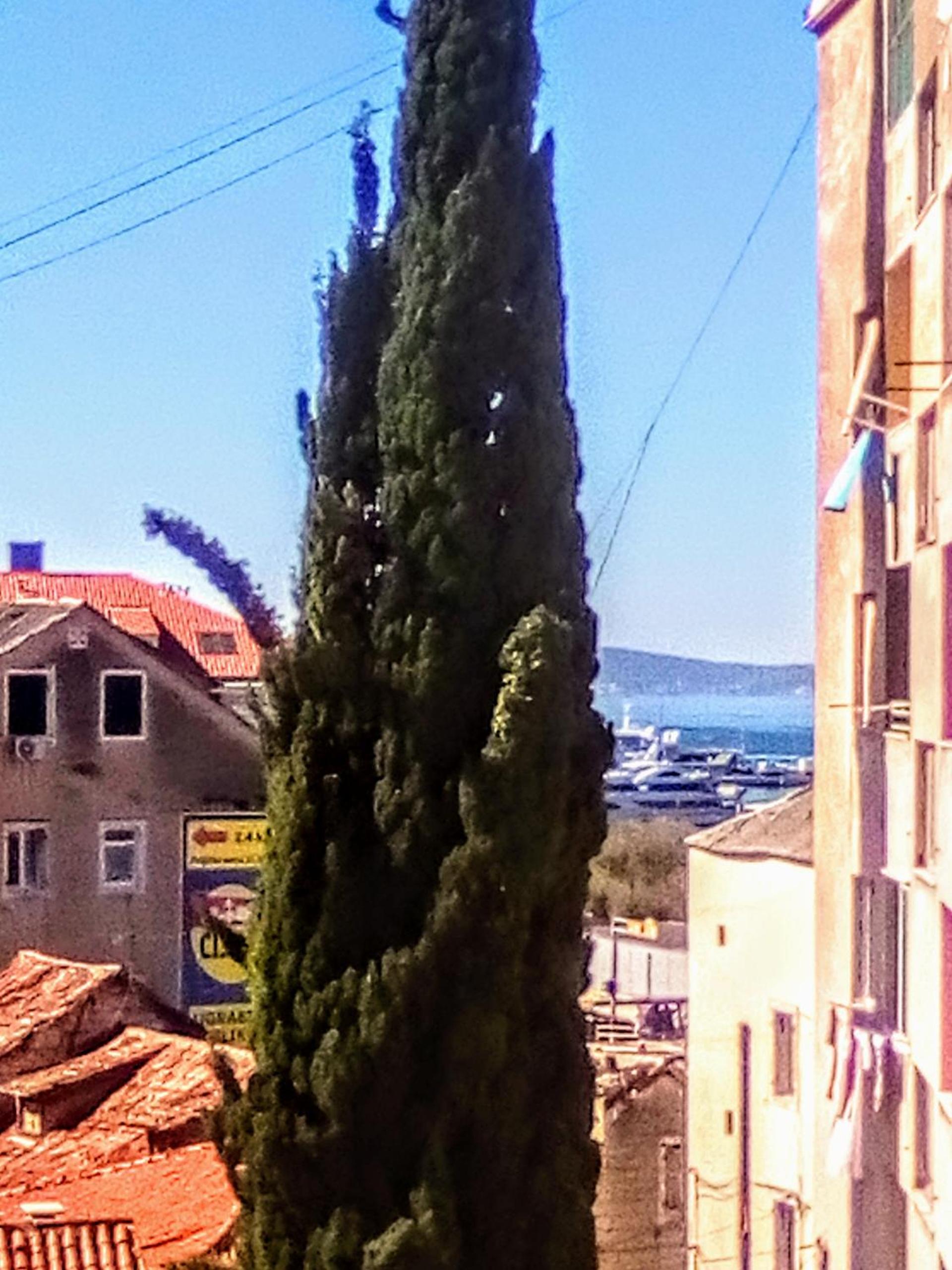 Maja rooms view 3