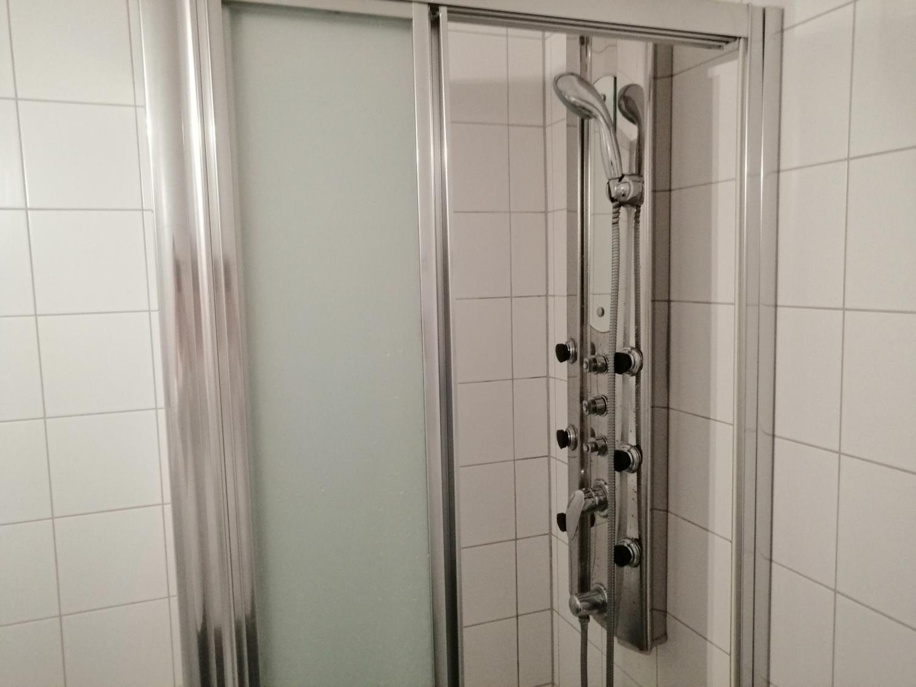 Zur sonnigen, eleganten Kuh