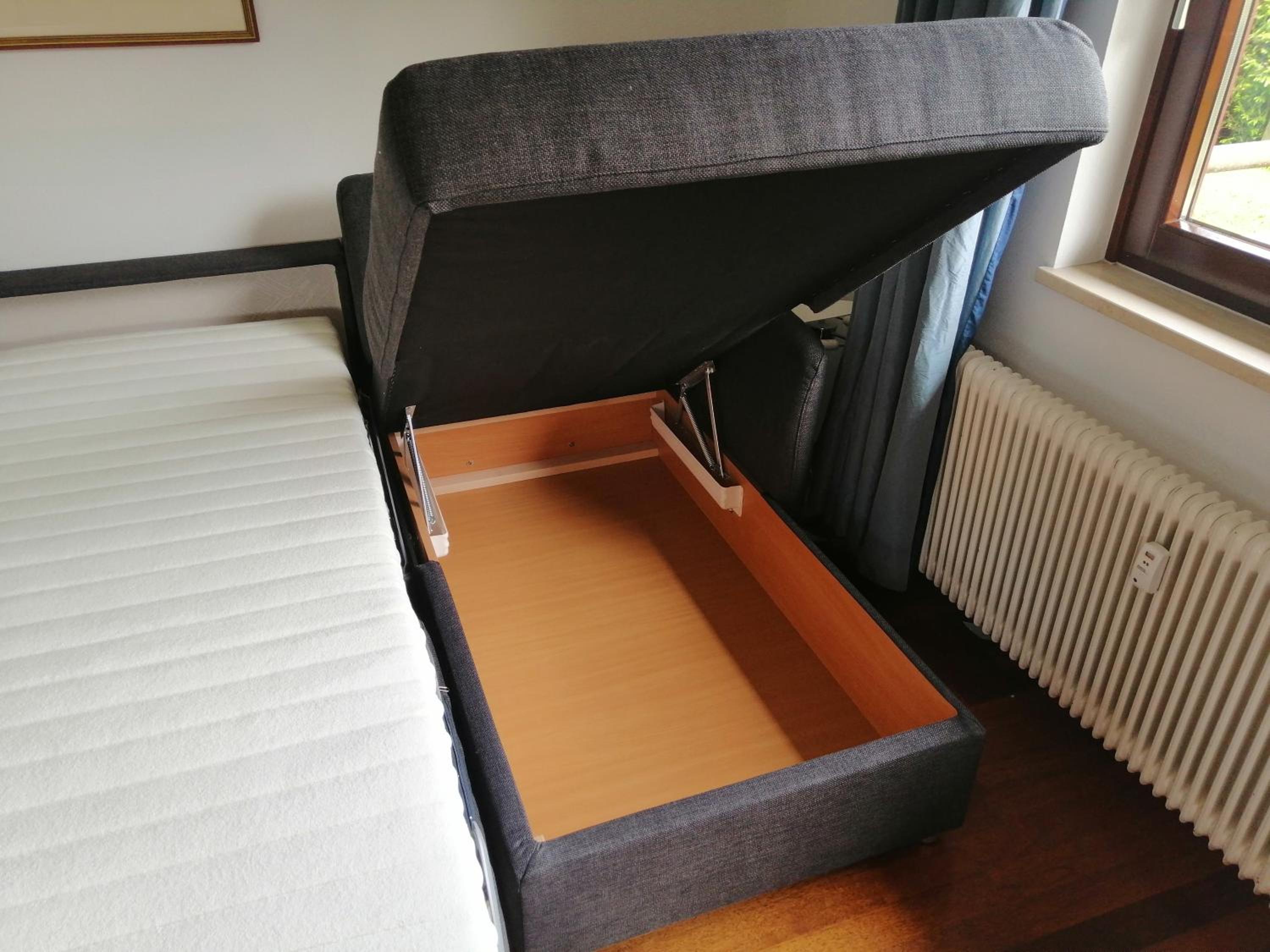 Zur sonnigen, eleganten Kuh