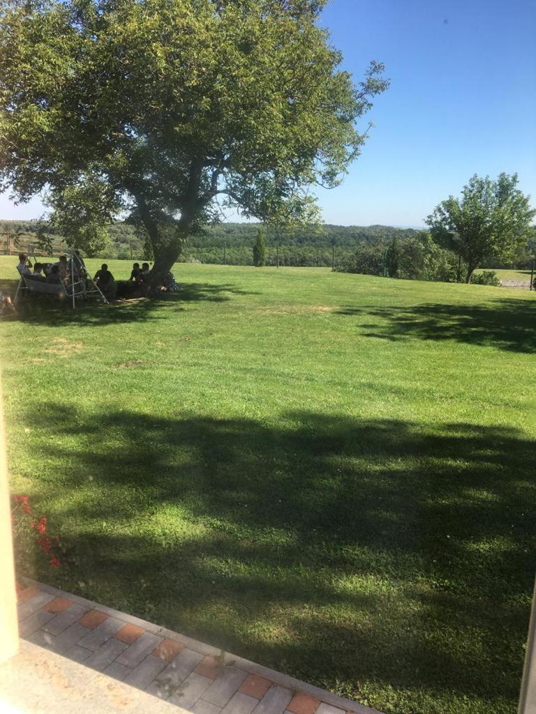 Vadaspuszta Vendeghaz view 3