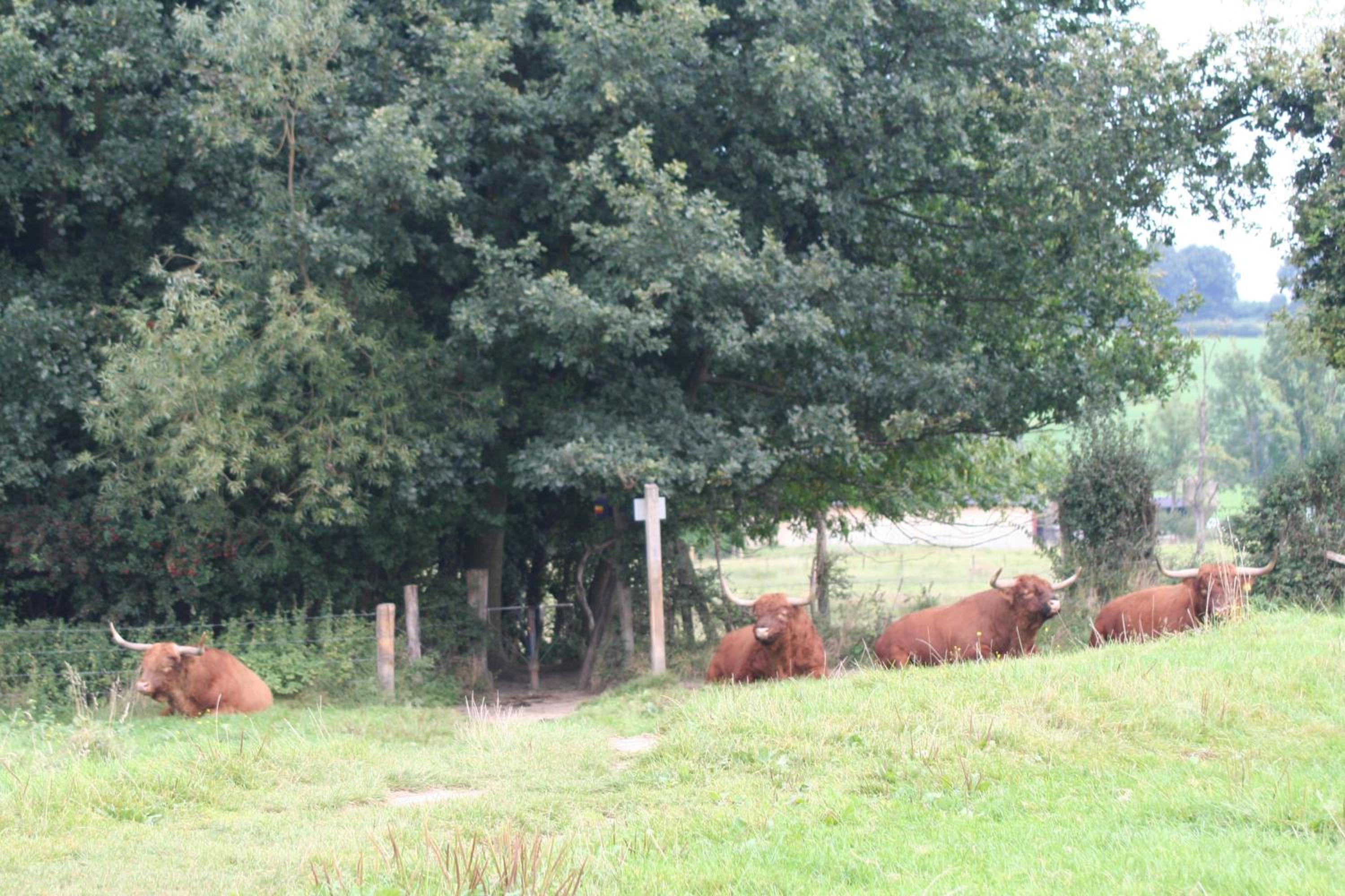 Photo 48