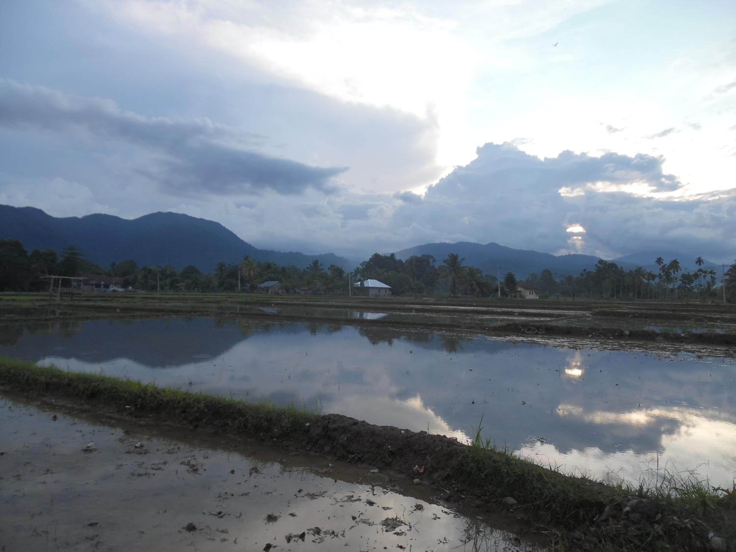 AMBOW Homestay Jungle Trekking & Village Tour view 3
