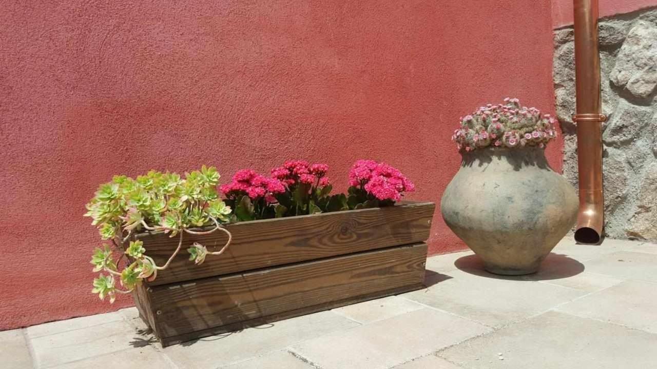 Casa Rural Rojo del Tietar view 5
