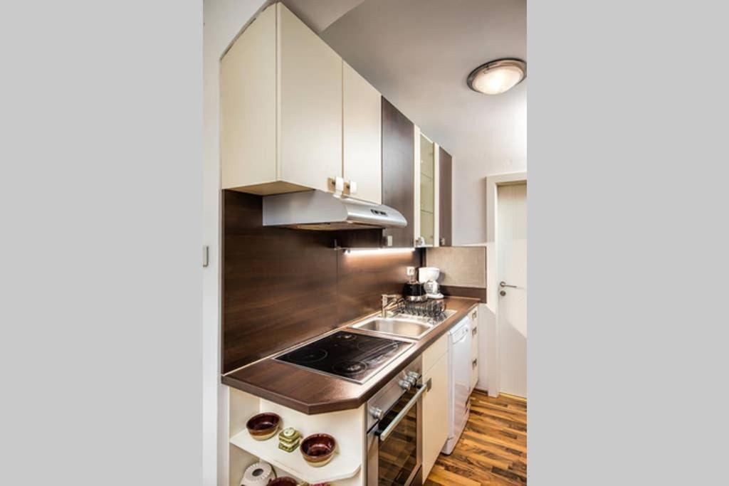 Cosy Apartment near Stephansplatz