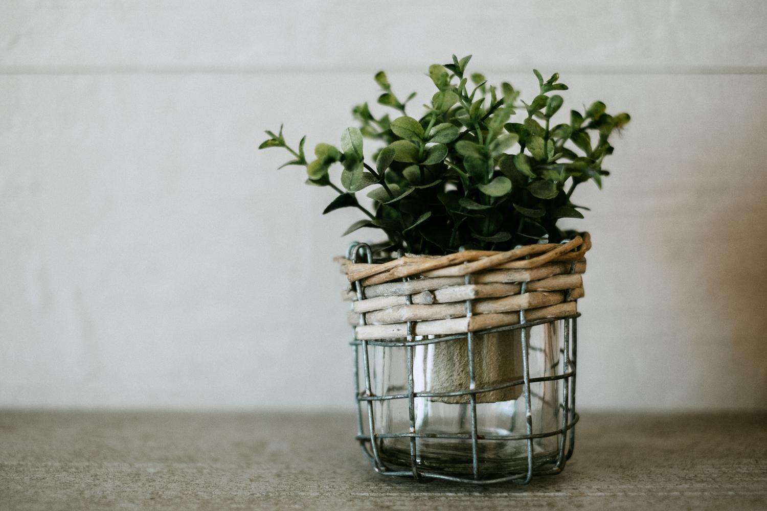 The Douro Nest