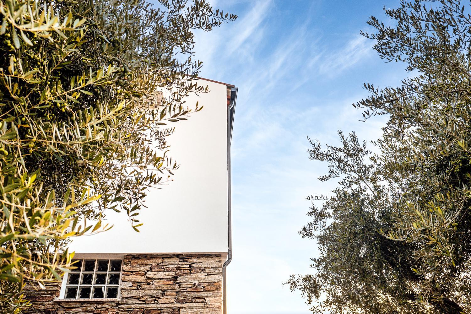 The Douro Nest