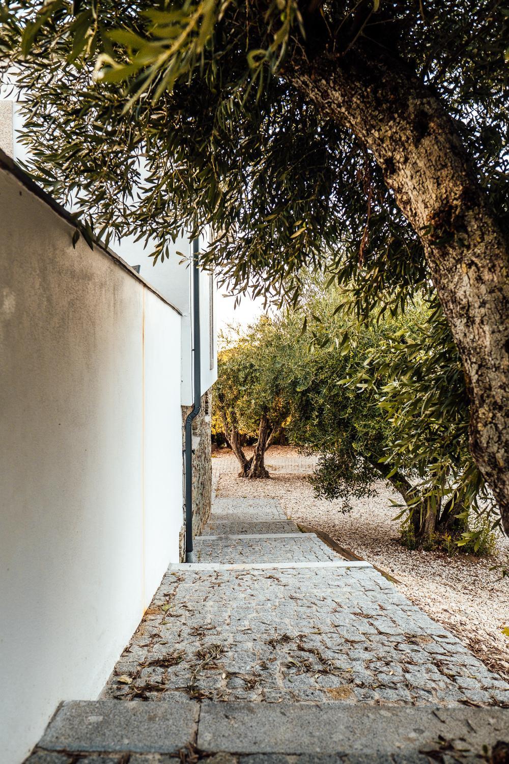 The Douro Nest