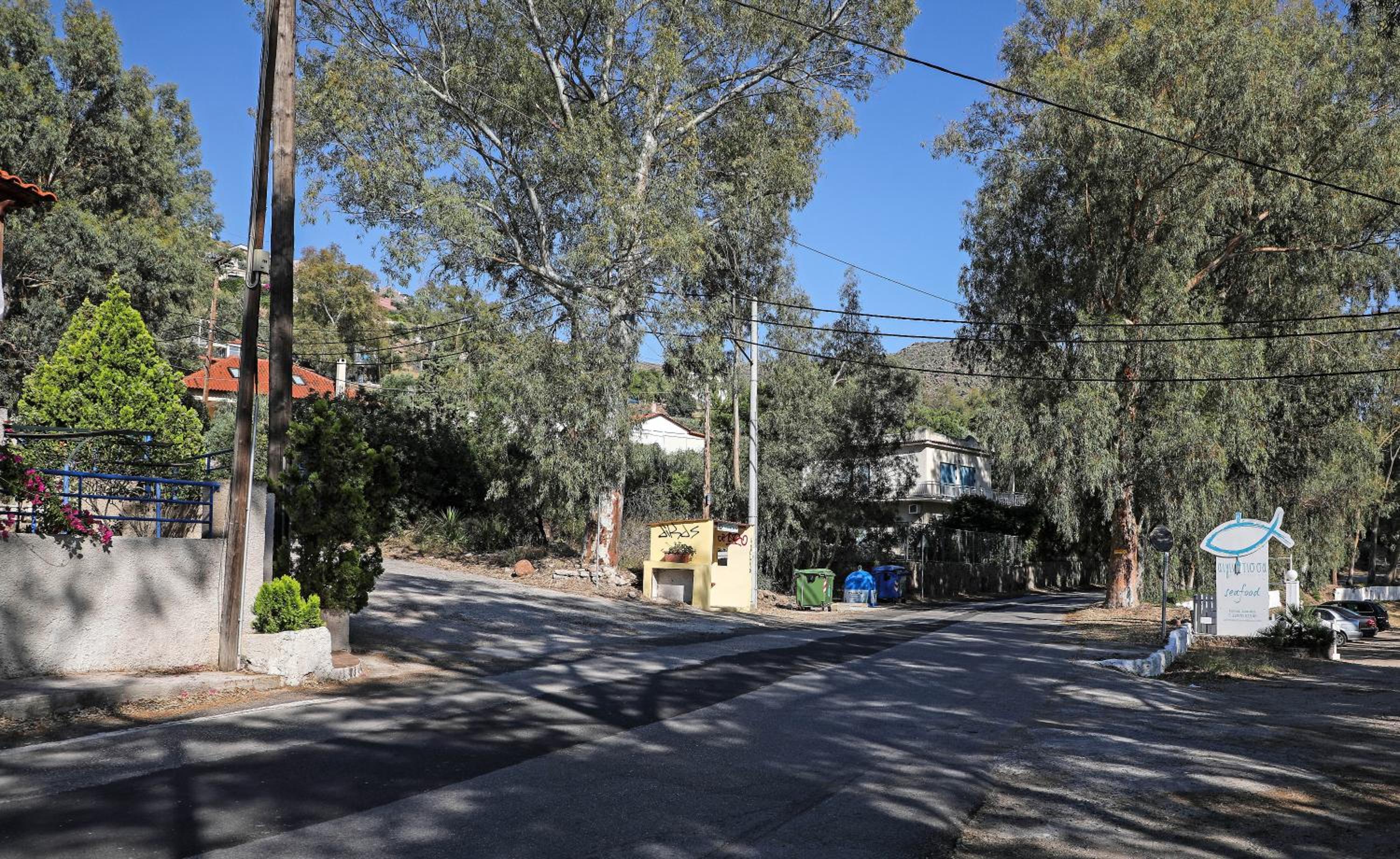 Hotel Eucalyptus Villa - Image 1