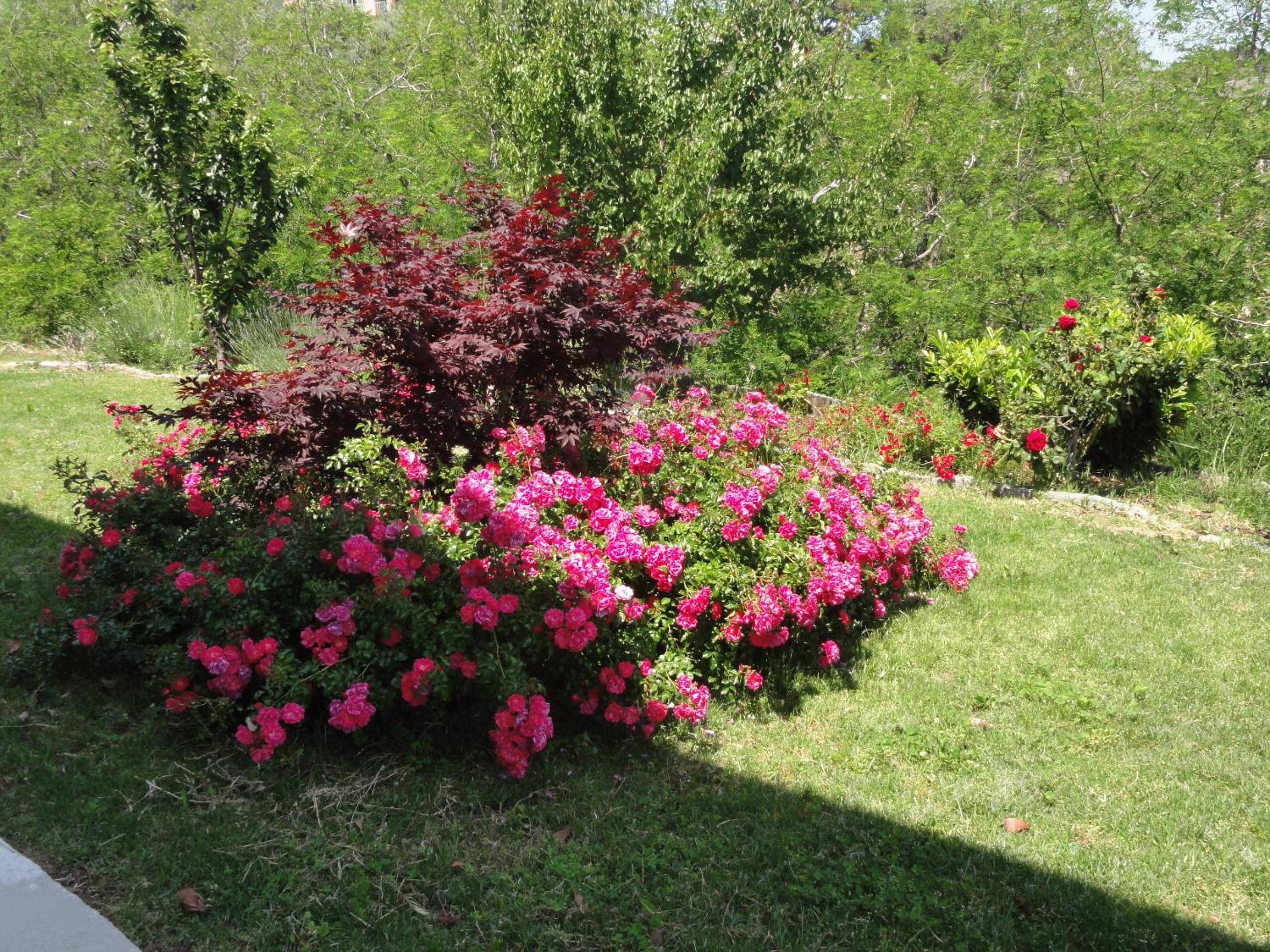 Photo 18