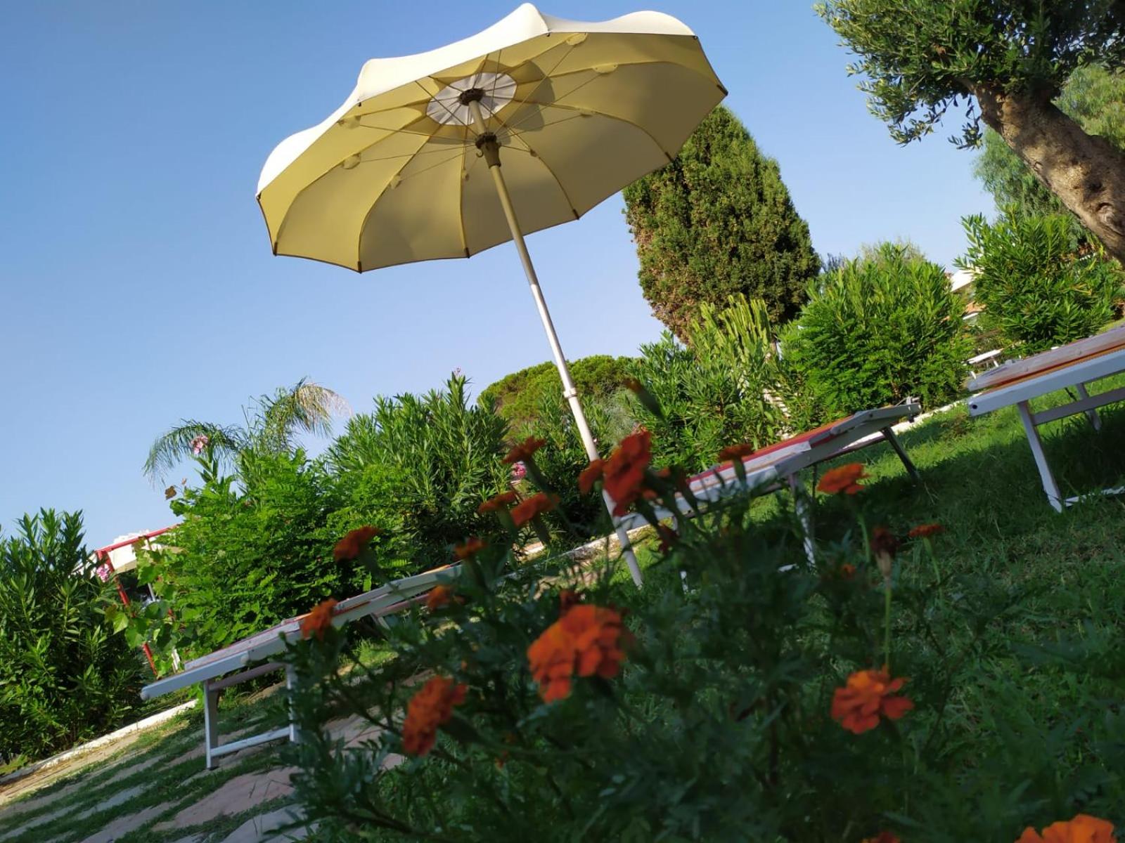 garden