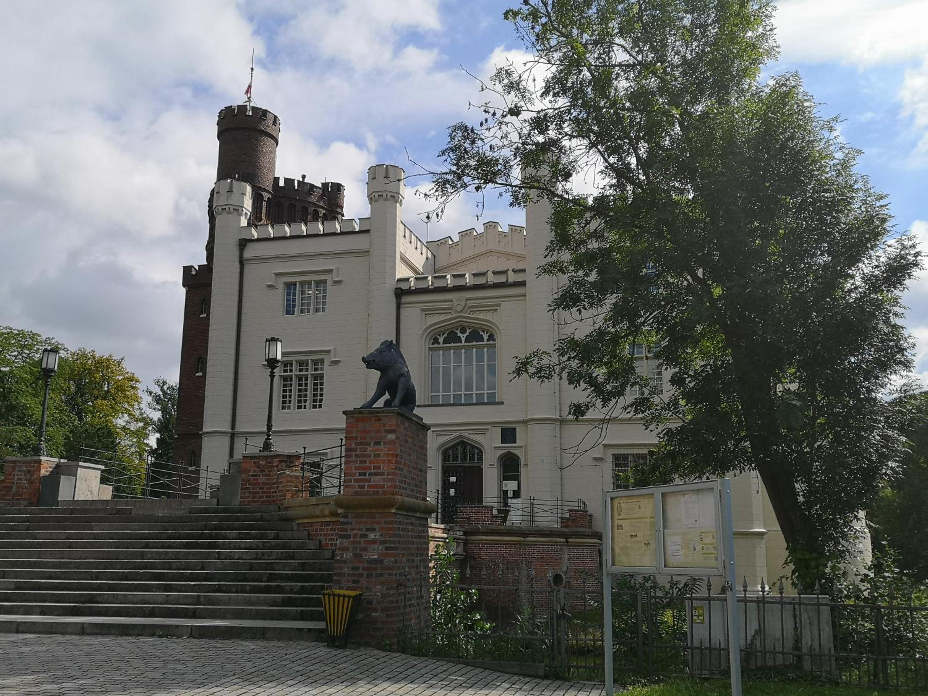 Photo 43