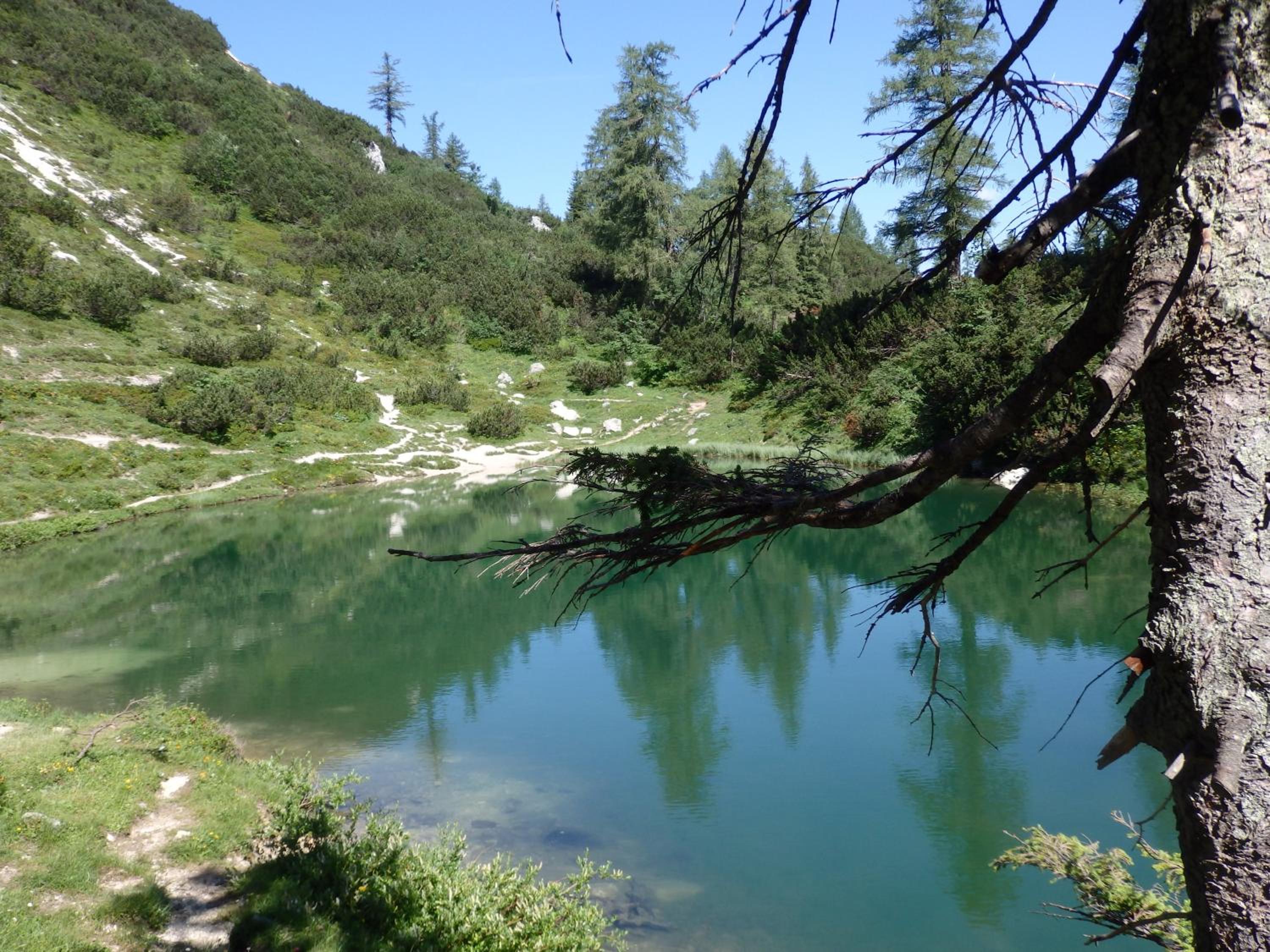 Photo 23