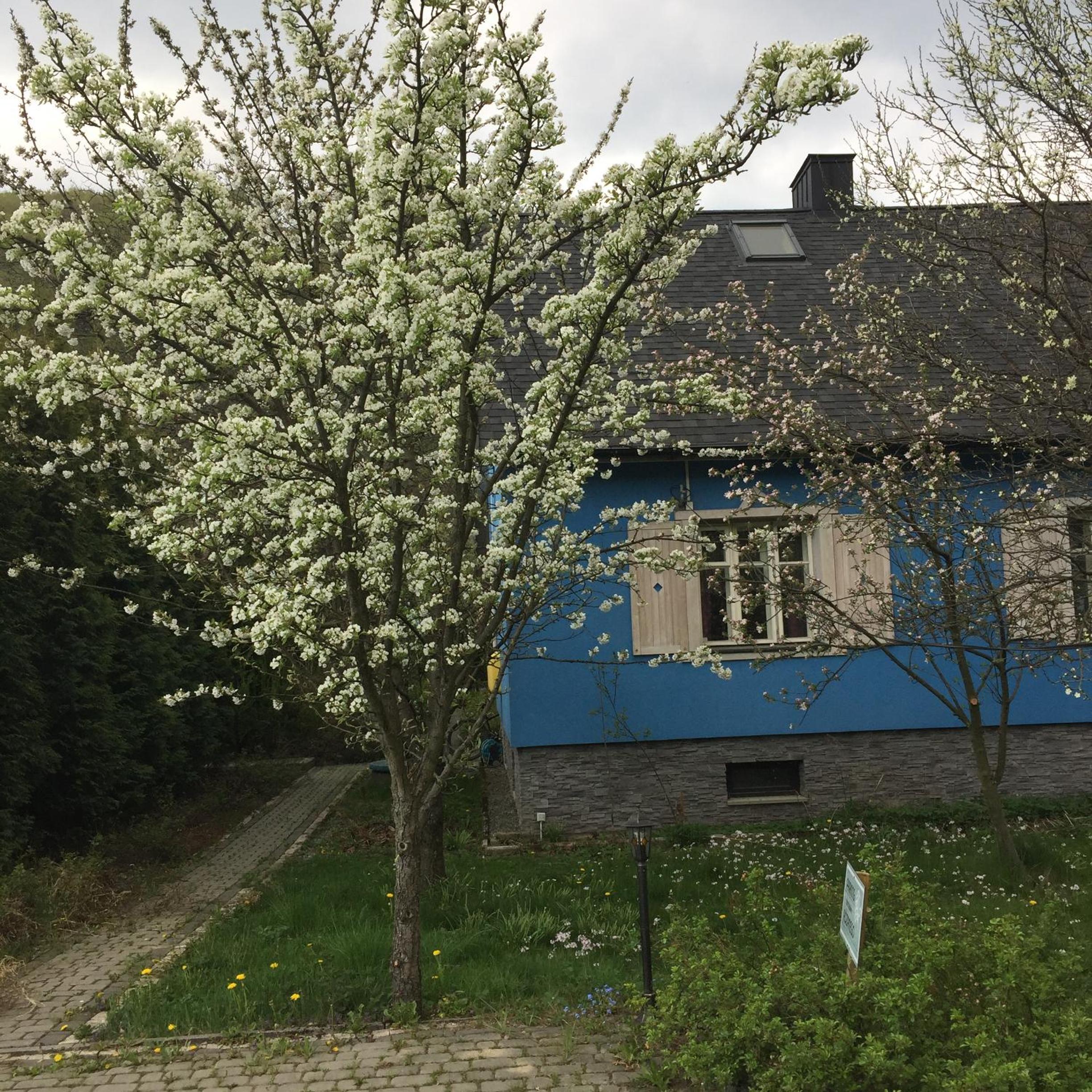 Szyszkowy Zakątek view 2