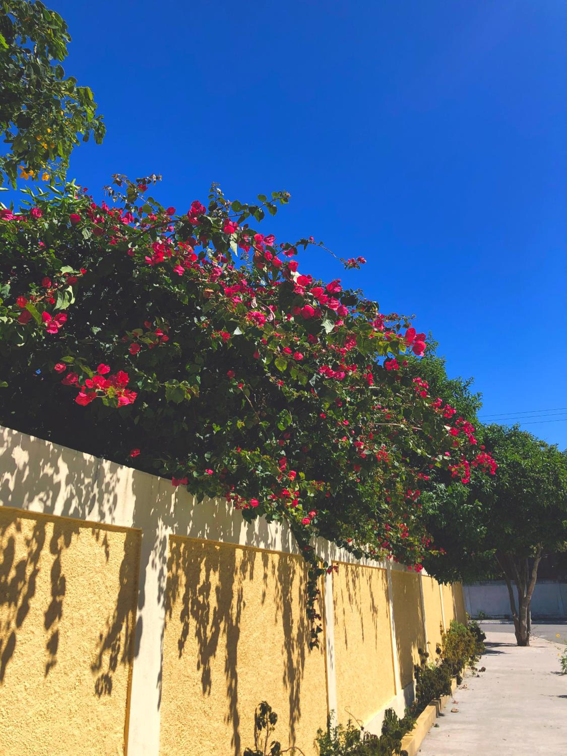 Concha Do Mar Triplex