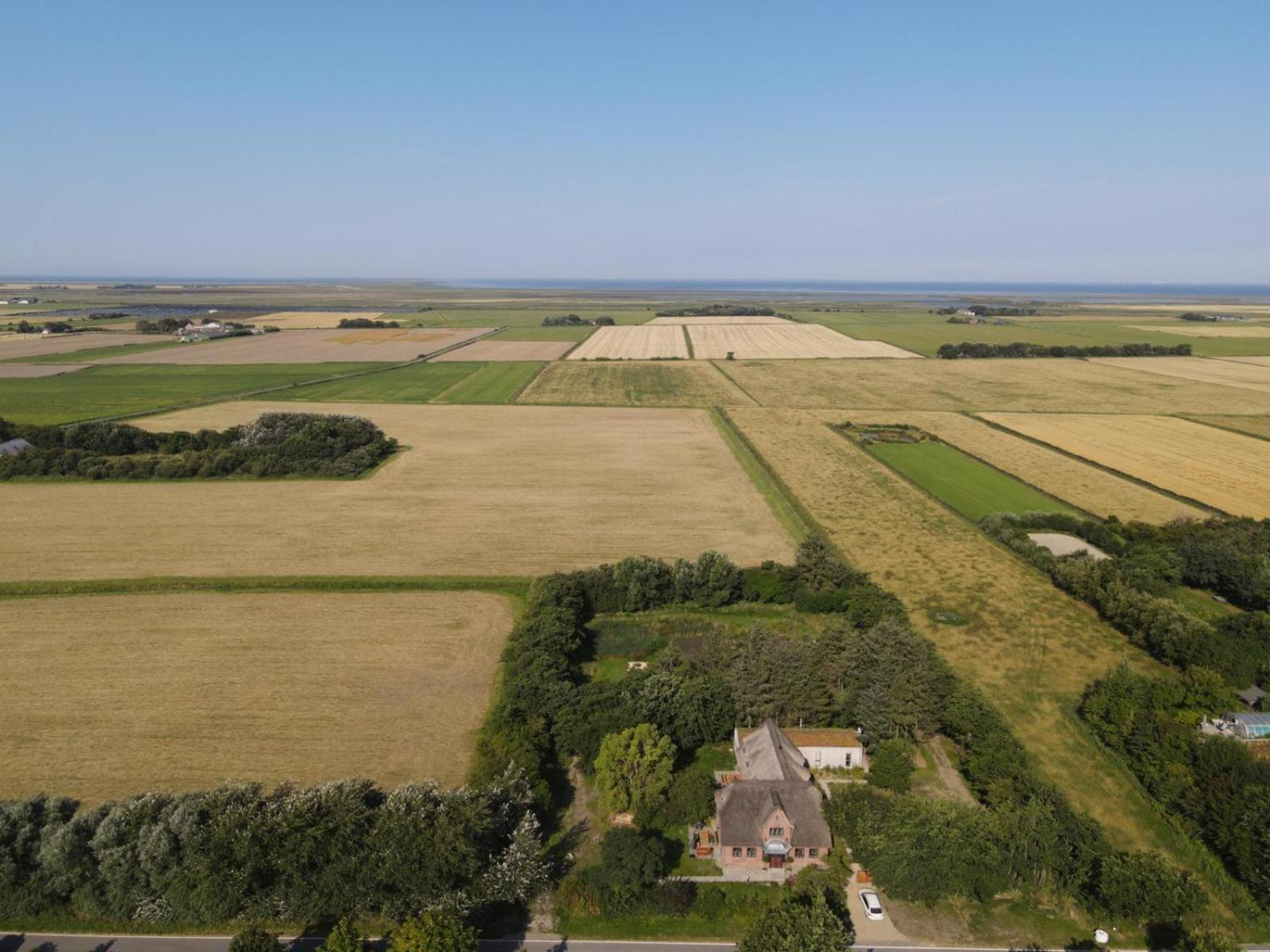 Ziegelmacher Vörn - Achten - Lütt view 3