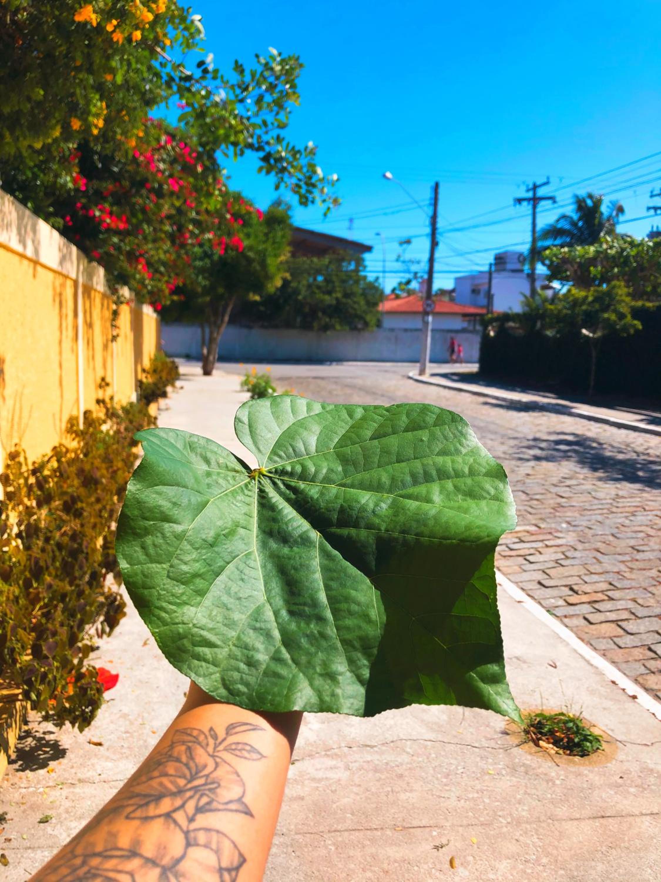 Concha Do Mar Triplex