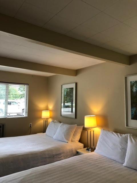 Pines Motel