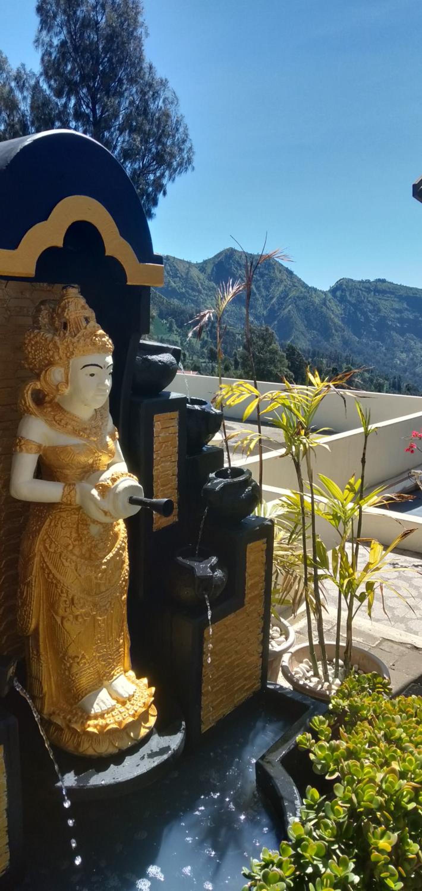 Bromo Otix Guest House view 5